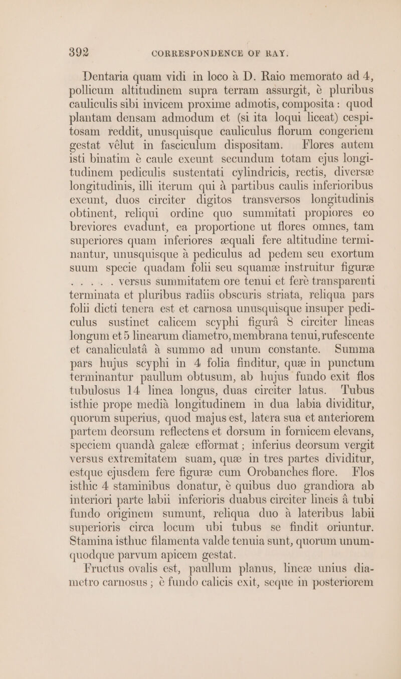 Dentaria quam vidi in loco a D. Raio memorato ad 4, pollicum altitudinem supra terram assurgit, ¢ pluribus cauliculis sibi invicem proxime admotis, composita: quod plantam densam admodum et (si ita loqui liceat) cespi- tosam reddit, unusquisque cauliculus florum congeriem gestat vélut in fasciculum dispositam. Flores autem isti binatim é¢ caule exeunt secundum totam ejus long!- tudinem pediculis sustentati cylindricis, rectis, diversze longitudinis, illi iterum qui a partibus caulis mferioribus exeunt, duos circiter digitos transversos longitudinis obtinent, reliqui ordine quo summitati propiores eo breviores evadunt, ea proportione ut flores omnes, tam superiores quam inferiores eequali fere altitudine termi- nantur, unusquisque a pediculus ad pedem seu exortum suum specie quadam foli seu squamee instruitur figuree . versus summitatem ore tenui et ferée transparenti terminata et pluribus radiis obscuris striata, reliqua pars folii dicti tenera est et carnosa unusquisque insuper pedi- culus sustinet calicem scyphi figura 8 circiter lineas longum et 5 linearum diametro, membrana tenui, rufescente et canaliculata a4 summo ad unum constante. Summa pars hujus scyphi in 4 folia finditur, quem punctum terminantur paullum obtusum, ab hujus fundo exit flos tubulosus 14 linea longus, duas circiter latus. Tubus isthie prope media longitudinem in dua labia dividitur, quorum superius, quod majus est, latera sua et anteriorem partem deorsum reflectens et dorsum in fornicem elevans, speciem quanda galeze efformat; inferius deorsum vergit versus extremitatem suam, que in tres partes dividitur, estque ejusdem fere figuras cum Orobanches flore. Flos isthic 4 stamimibus donatur, ¢ quibus duo grandiora ab interiori parte labii inferioris duabus circiter lineis &amp; tubi fundo orignmem sumunt, reliqua duo a lateribus labu superioris circa locum ubi tubus se findit oriuntur. Stamina isthuc filamenta valde tenuia sunt, quorum unum- quodque parvum apicem gestat. Fructus ovalis est, paullum planus, lmneze unius dia- metro carnosus ; ¢ fundo calicis exit, seque in posteriorem