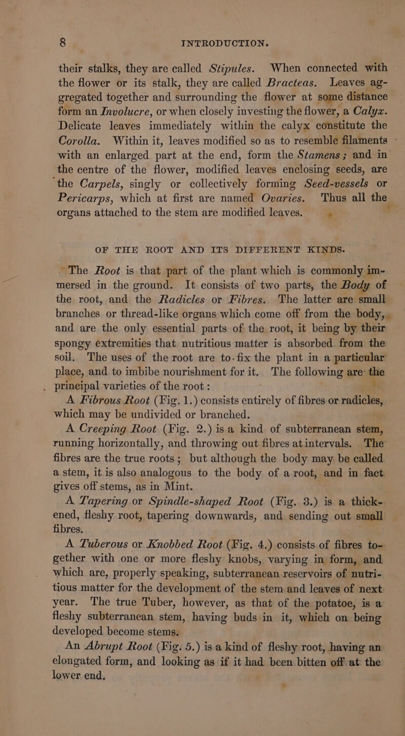 their stalks, they are called Stipules. When connected with the flower or its stalk, they are called Bracteas. Leaves ag- gregated together and Misrountioe the flower at some distance form an Panic, or when closely investing the flower, a Calyz. Delicate leaves immediately within the calyx constitute the Corolla. Within it, leaves modified so as to resemble filaments ~ with an enlarged part at the end, form the Stamens; and in the centre of the flower, modified leaves enclosing seeds, are ‘the Carpels, singly or collectively forming Seed-vessels or Pericarps, which at first are named Ovaries. Thus all the organs attached to the stem are moditied leaves. *. . OF THE ROOT AND ITS DIFFERENT KINDS. ~The Root is that part of the plant which is commonly im- mersed in the ground. It consists of two parts, the Body of the root, and the Radicles or Fibres. The latter are small branches or thread-like organs which come off from the body, and are the only essential parts of the root, it being by their spongy extremities that nutritious matter is absorbed from the soil. The uses of the root are to-fix the plant in a particular place, and to imbibe nourishment for it. The following are: a . principal varieties of the root : A Fibrous Root (Fig. 1.) consists entirely of fibres or ne which may be undivided or branched. A Creeping Root (Fig. 2.) isa kind of subterranean stem, running horizontally, and throwing out fibres atintervals. The fibres are the true roots; but although the body may be called a stem, it is also analogous to the body of a root, and in fact gives off stems, as in Mint. A Tapering or Spindle-shaped Root (Fig. 3.) is a thick- ened, fleshy root, tapering downwards, and sending out small Bree . A Tuberous or Knobbed Root (Fig. 4.) consists of fibres to- gether with one or more fleshy knobs, varying in form, and which are, properly speaking, subterranean reservoirs of nutri- tious matter for the development of the stem and leaves of next year. The true Tuber, however, as that of the potatoe, is a fleshy subterranean stem, having buds in it, which on being developed become stems. An Abrupt Root (Fig. 5.) isa kind of fleshy root, having an elongated form, and looking as if it had been bitten off at the lower end.