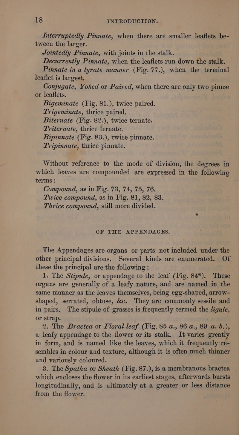 Interruptedly Pinnate, when there are smaller leaflets be- tween the larger. Jointedly Pinnate, with joints in the stalk. Decurrently Pinnate, when the leaflets run down the stalk. Pinnate in a lyrate manner (Fig. 77.), when the terminal leaflet is largest. Conjugate, Yoked or Paired, when there are only two pinne or leaflets. Bigeminate (Fig. 81.), twice paired. Trigeminate, thrice paired. Biternate (Fig. 82.), twice ternate. Triternate, thrice ternate. Bipinnate (Fig. 83.), twice pinnate. Tripinnate, thrice pinnate. Without reference to the mode of division, the degrees in which leaves are compounded are expressed in the following terms : Compound, as in Fig. 73, 74, 75, 76. Twice compound, as in Fig. 81, 82, 83. Thrice compound, still more divided. OF THE APPENDAGES. The Appendages are organs or parts not included under the other principal divisions. Several kinds are enumerated. Of these the principal are the following : 1. The Stipule, or appendage to the leaf (Fig. 84*). These organs are generally of a leafy nature, and are named in the same manner as the leaves themselves, being egg-shaped, arrow- shaped, serrated, obtuse, &amp;c. They are commonly sessile and in pairs. The stipule of grasses is frequently termed the /igule, or strap. 2. The Bractea or Floral leaf (Fig. 85 a., 86 a., 89 a. b.), a leafy appendage to the flower or its stalk. It varies greatly in form, and is named like the leaves, which it frequently re- sembles in colour and texture, although it is often much thinner and variously coloured. 3. The Spatha or Sheath (Fig. 87.), is a membranous bractea__ which encloses the flower in its earliest stages, afterwards bursts longitudinally, and is ultimately at a greater or less distance from the flower.