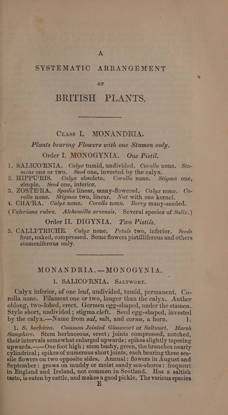 A SYSTEMATIC ARRANGEMENT OF BRITISH PLANTS. Crass I. MONANDRIA. Plants bearing Flowers with one Stamen only. Order 1. MONOGYNIA. One Pistil. 1, SALICO/RNIA. Calyx tumid, undivided. Corolla none. Sta- mens one or two. Seed one, invested by the calyx. 2. HIPPU/RIS. Calyx obsolete. Corolla none. Stigma one, simple. Seed one, inferior. 3. ZOSTE/RA. Spadiz linear, many-flowered. Calyx none. Co- rolla none. Stigmas two, linear. Nut with one kernel. 4. CHA/RA. Calyxnone. Corollanone. Berry many-seeded. (Valeriana rubra, Alchemilla arvensis. Several species of Saliz,) Order II. DIGYNIA. TZwo Pistiils. 5. CALLI/TRICHE. Calyx none. Petals two, inferior. Seeds four, naked, compressed. Some flowers pistilliferous and others stameniferous only. MONANDRIA.—MONOGYNIA. 1, SALICO/RNIA. Sattwort. Calyx inferior, of one leaf, undivided, tumid, permanent. Co- rolla none. Filament one or two, longer than the calyx. Anther oblong, two-lobed, erect. Germen egg-shaped, under the stamen. Style short, undivided ; stigma cleft. Seed egg-shaped, invested by the calyx.—Name from sal, salt, and cornu, a horn. Vs 1. S. herbdcea. Common Jointed Glasswort or Saltwort. Marsh Samphire. Stem herbaceous, erect; joints compressed, notched, their intervals somewhat enlarged upwards; spikes slightly tapering upwards.—— One foot high ; stem bushy, green, the branches nearly cylindrical ; spikes of numerous short joints, each bearing three ses- sile flowers on two opposite sides. Annual: flowers in August and September: grows on muddy or moist sandy sea-shores: frequent. in England and Ireland, not common in Scotland. Has a saltish taste, is eaten by cattle, and mae a good pickle, ‘The various species