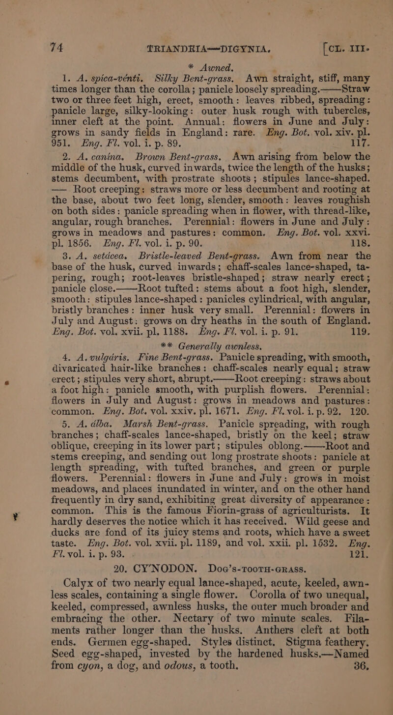 * Awned. ; 1. A. spica-vénti. Silky Bent-grass. Awn straight, stiff, many times longer than the corolla; panicle loosely spreading. Straw two or three feet high, erect, smooth: leaves ribbed, spreading : panicle large, silky-looking: outer husk rough with tubercles, inner cleft at the point. Annual: flowers in June and July: grows in sandy fields in England: rare. Eng. Bot. vol. xiv. pl. 951. Eng. Fl. vol. i. p. 89. i OEE 2. A. canina. Brown Bent-grass. Awn arising from below the middle of the husk, curved inwards, twice the length of the husks; stems decumbent, with prostrate shoots; stipules lance-shaped. — Root creeping: straws more or less decumbent and rooting at the base, about two feet long, slender, smooth: leaves roughish on both sides: panicle spreading when in flower, with thread-like, angular, rough branches. Perennial: flowers in June and July: grows in meadows and pastures: common. Lng. Bot. vol. xxvi. pl. 1856. Eng. Fl. vol. i. p. 90. 118. 3. A. setdcea. Bristle-leaved Bent-grass. Awn from near the base of the husk, curved inwards; chaff-scales lance-shaped, ta- pering, rough; root-leaves bristle-shaped;. straw nearly erect; panicle close.——Root tufted: stems about a foot high, slender, smooth: stipules lance-shaped: panicles cylindrical, with angular, bristly branches: inner husk very small. Perennial: flowers in July and August: grows on dry heaths in the south of England. Eng. Bot. vol, xvii. pl. 1188. Eng. Fl. vol. i. p. 91. 119. ** Generally awniess. 4. A.vulgdris. Fine Bent-grass. Panicle spreading, with smooth, divaricated hair-like branches: chaff-scales nearly equal; straw erect; stipules very short, abrupt. Root ereeping: straws about a foot high: panicle smooth, with purplish flowers. Perennial: flowers in July and August: grows in meadows and pastures: common. Eng. Bot. vol. xxiv. pl. 1671. Eng. Fl. vol.i.p.92. 120. 5. A. dlba. Marsh Bent-grass. Panicle spreading, with rough branches; chaff-scales lance-shaped, bristly on the keel; straw oblique, creeping in its lower part; stipules oblong. Root and stems creeping, and sending out long prostrate shoots: panicle at length spreading, with tufted branches, and green or purple flowers. Perennial: flowers in June and July: grows in moist meadows, and places inundated in winter, and on the other hand frequently in dry sand, exhibiting great diversity of appearance : common. This is the famous Fiorin-grass of agriculturists. It hardly deserves the notice which it has received. Wild geese and ducks are fond of its juicy stems and roots, which have a sweet taste. Eng. Bot. vol. xvii. pl. 1189, and vol. xxii. pl. 1532. Eng. Fi. vol. i. p. 93. 121. 20. CY’YNODON. Doa’s-TooTH-GRAss. Calyx of two nearly equal lance-shaped, acute, keeled, awn- less scales, containing a single flower. Corolla of two unequal, keeled, compressed, awnless husks, the outer much broader and embracing the other. Nectary of two minute scales, Fila- ments rather longer than the husks. Anthers cleft at both ends. Germen egg-shaped. Styles distinct. Stigma feathery. Seed egg-shaped, invested by the hardened husks,—Named from cyon, a dog, and odous, a tooth, 36,