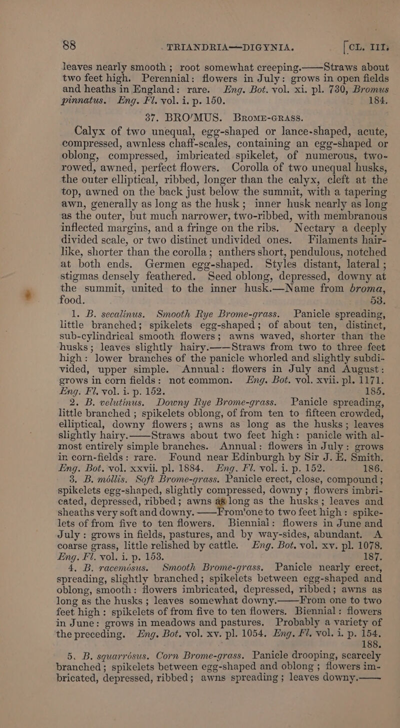 leaves nearly smooth ; root somewhat creeping.——Straws about two feet high. Perennial: flowers in July: grows in open fields and heaths in England: rare. ng. Bot. vol. xi. pl. 730, Bromus pinnatus. Eng. Fl. vol. i. p. 150. 184. 387. BRO’/MUS. Brome-GRaAss. Calyx of two unequal, egg-shaped or lance-shaped, acute, compressed, awnless chaff-scales, contaming an egg-shaped or oblong, compressed, imbricated spikelet, of numerous, two- rowed, awned, perfect flowers. Corolla of two unequal husks, the outer elliptical, ribbed, longer than the calyx, cleft at the top, awned on the back just below the summit, with a tapering awn, generally as long as the husk; inner husk nearly as long as the outer, but much narrower, two-ribbed, with membranous inflected margins, and a fringe on the ribs. Nectary a deeply divided scale, or two distinct undivided ones. Filaments hair- like, shorter than the corolla; anthers short, pendulous, notched at both ends. Germen egg-shaped. Styles distant, lateral ; stigmas densely feathered. Seed oblong, depressed, downy at the summit, united to the inner husk.—Name from broma, food. 53. 1. B. secalinus. Smooth Rye Brome-grass. Panicle spreading, little branched; spikelets egg-shaped; of about ten, distinct, sub-cylindrical smooth flowers; awns waved, shorter than the husks; leaves slightly hairy.——Straws from two to three feet high: lower branches of the panicle whorled and slightly subdi- vided, upper simple. Annual: flowers in July and August: grows in corn fields: notcommon. ng. Bot. vol. xvii. pl. 1171. fing. Fl, vol. i. p. 162. 185. 2. B. velutinus. Downy Rye Brome-grass. Panicle spreading, little branched ; spikelets oblong, of from ten to fifteen crowded, elliptical, downy flowers; awns as long as the husks; leaves slightly hairy. Straws about two feet high: panicle with al- most entirely simple branches. Annual: flowers in July: grows in corn-fields: rare. Found near Edinburgh by Sir J. E. Smith. Ling. Bot. vol. xxvii. pl. 1884. Eng. Fl. vol. i. p. 152. 186. 3. B. méilis. Soft Brome-grass. Panicle erect, close, compound ; spikelets egg-shaped, slightly compressed, downy ; flowers imbri- cated, depressed, ribbed; awns a8 long as the husks; leaves and sheaths very soft and downy. ——From'one to two feet high: spike- lets of from five to ten flowers. Bienniai: flowers in June and July : grows in fields, pastures, and by way-sides, abundant. A coarse grass, little relished by cattle. Eng. Bot. vol. xv. pl. 1078, Eng. Fl. vol. i. p. 153. 187. 4, B. raceméosus. Smooth Brome-grass. Panicle nearly erect, spreading, slightly branched; spikelets between egg-shaped and oblong, smooth: flowers imbricated, depressed, ribbed; awns as long as the husks ; leaves somewhat downy. From one to two feet high: spikelets of from five to ten flowers. Biennial: flowers in June: grows in meadows and pastures. Probably a variety of the preceding. Eng. Bot. vol. xv. pl. 1054. Eng. £7, vol. i. p. 154, ’ 188. 5. B. squarrésus. Corn Brome-grass. Panicle drooping, scarcely branched; spikelets between egg-shaped and oblong ; flowers im- bricated, depressed, ribbed; awns spreading; leayes downy.——
