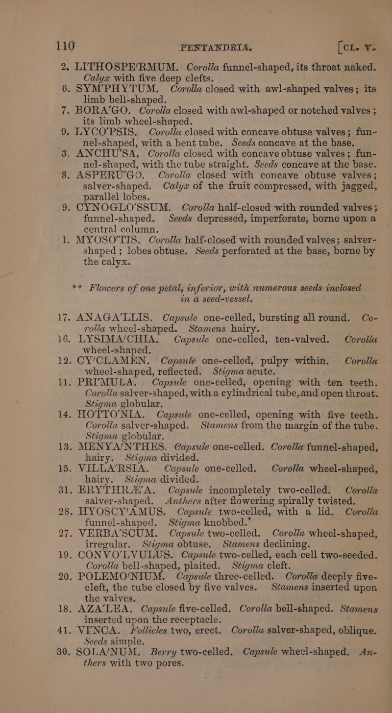 ds 2; LITHOSPE’RMUM. Corolla funnel-shaped, its throat naked. Calyx with five deep clefts. SYM’PHYTUM. Corolla closed with awl-shaped valves; its limb bell-shaped. BORA’GO. Corolla closed with awl-shaped or notched valves ; its limb wheel-shaped. LYCO’PSIS. Corolla closed with concave obtuse valves; fun- nel-shaped, with a bent tube. Seeds concave at the base. nel-shaped, with the tube straight. Seeds concave at the base. salver-shaped. Calyx of the fruit compressed, with jagged, parallel lobes. funnel-shaped. Seeds depressed, imperforate, borne upon a central column. shaped ; lobes obtuse. Seeds perforated at the base, borne by the calyx. ** Flowers of one petal, inferior, with numerous seeds inclosed in @ seed=-vessel, rolla wheel-shaped. Stamens hairy. wheel-shaped. wheel-shaped, reflected. Stigma acute. Corolla salver-shaped, with a cylindrical tube,and open throat. Stigma globular. Corolla salver-shaped. Stamens from the margin of the tube. Stigma globular. hairy. Stigma divided. hairy. Stigma divided. salver-shaped. Anthers after flowering spirally twisted. funnel-shaped. Stigma knobbed.* irregular. Stigma obtuse. Stamens declining. Corolla bell-shaped, plaited. Stigma cleft. cleft, the tube closed by five valves. Stamens inserted upon the valves. inserted upon the receptacle. Seeds simple. thers with two pores.