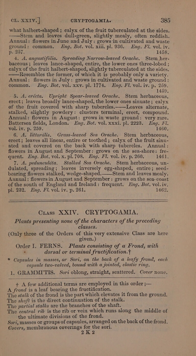 what halbert-shaped ; calyx of the fruit tuberculated at the sides. Stem and leaves dull-green, slightly mealy, often reddish. Annual: flowers inJune and July: grows-in cultivated and waste ground: common. ng, Bot. vol. xiii. pl. 9386. Eng. Fi. vol. iv. p. 257. 1458. 4, A. angustifolia. Spreading Narrow-leaved Orache. Stem her- baceous ; leaves lance-shaped, entire, the lower ones three-lobed ; calyx of the fruit halbert-shaped, slightly tuberculated at the sides. —Resembles the former, of which it is probably only a variety. Annual; flowers in July: grows in cultivated and waste ground: common. Lng. Bot. vol. xxv. pl. 1774. Eng. Fl. vol. iv. p. 259. 1459, 5. A. erécta. Upright Spear-leaved Orache, Stem herbaceous, erect ; leaves broadly lance-shaped, the lower ones sinuate; calyx of the fruit covered with sharp tubercles.——Leaves alternate, stalked, slightly powdery: clusters terminal, erect, compound. Annual: flowers in August: grows in waste ground: very rare. Battersea fields, London. Eng. Bot. vol. xxxi. pl. 2223. Eng. Fi. vol. iv. p. 259. 1460. 6. A. littordlis. Grass-leaved Sea Orache. Stem herbaceous, erect; leaves all linear, entire or toothed; calyx of the fruit sinu- ated and covered on the back with sharp tubercles, Annual: flowers in August and September: grows on the sea-shore: fre- quent. Eng. Bot. vol. x. pl.708. Eng. Fl. vol. iv. p. 260. 1461. 7. A. pedunculdta, Stalked Sea Orache. Stem herbaceous, un- dulated, spreading; leaves inversely egg-shaped, entire; seed- bearing flowers stalked, wedge-shaped._—Stem and leaves mealy. Annual: flowers in August and September : grows on the sea- coast of the south of England and Ireland: frequent. Eng. Bot. vol. iv. pl. 232. Eng. Fl. vol. iv. p. 261. 1462. Crass XXIV. CRYPTOGAMIA. Plants presenting none of the characters of the preceding classes. (Only three of the Orders of this very extensive Class are here given. ) Order I. FERNS. Plants consisting of a Frond, with ‘ dorsal or terminal fructification.} * Capsules in masses, or Sori, on the back of a leafy frond, each capsule two-valved, bound with a jointed, elastic ring. 1. GRAMMI'TIS. Sori oblong, straight, scattered. Cover none. + A few additional terms are employed in this order ;— A frond is a leaf bearing the fructification, The stalk of the frond is the part which elevates it from the ground. The shaft is the direct continuation of the stalk. The partial stalks are the branches of the shaft. The central rib is the rib or vein which runs along the middle of the ultimate divisions of the frond. Sori, masses or groups of capsules, arranged on the back of the frond. Covers, membranous SOF EROSE Ye ans sori.