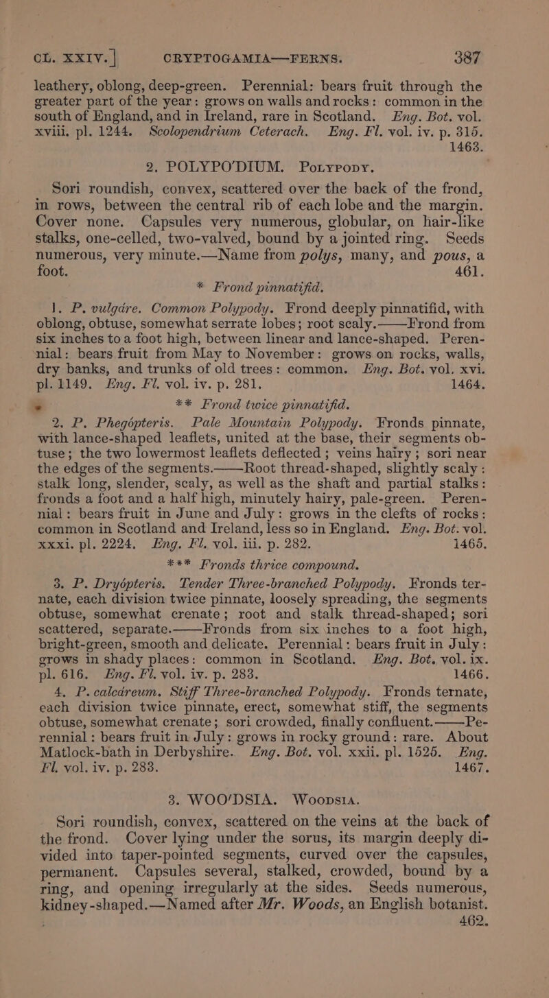 leathery, oblong, deep-green. Perennial: bears fruit through the greater part of the year: grows on walls and rocks: common in the south of England, and in Ireland, rare in Scotland. Eng. Bot. vol. Xviii, pl. 1244. Scolopendrium Ceterach, Eng. Fl. vol. iv. p. 315. 1463. 2. POLYPO’DIUM. Potyropy. Sori roundish, convex, scattered over the back of the frond, im rows, between the central rib of each lobe and the margin. Cover none. Capsules very numerous, globular, on hair-like stalks, one-celled, two-valved, bound by a jointed ring. Seeds numerous, very minute.—Name from polys, many, and pous, a foot. 46] * Frond pinnatifid. 1, P. vulgare. Common Polypody. Frond deeply pinnatifid, with oblong, obtuse, somewhat serrate lobes; root scaly. Frond from six inches toa foot high, between linear and lance-shaped. Peren- nial: bears fruit from May to November: grows on rocks, walls, dry banks, and trunks of old trees: common. Lng. Bot. vol. xvi. pl. 1149. Eng. Fi. vol. iv. p. 281. 1464, rs ** Frond twice pinnatifid. 2. P. Phegépteris. Pale Mountain Polypody. Fronds pinnate, with lance-shaped leaflets, united at the base, their segments ob- tuse; the two lowermost leaflets deflected ; veins hairy ; sori near the edges of the segments.——-Root thread-shaped, slightly scaly : stalk long, slender, scaly, as well as the shaft and partial stalks: fronds a foot and a half high, minutely hairy, pale-green. Peren- nial: bears fruit in June and July: grows in the clefts of rocks: common in Scotland and Ireland, less soin England. Eng. Bot. vol. xxxi. pl. 2224. Eng. Fl. vol. iil. p. 282. 1465. *** Fronds thrice compound. 3. P. Drydopteris. Tender Three-branched Polypody. Fronds ter- nate, each division twice pinnate, loosely spreading, the segments obtuse, somewhat crenate; root and stalk thread-shaped; sori scattered, separate. Fronds from six inches to a foot high, bright-green, smooth and delicate. Perennial: bears fruit in July: grows in shady places: common in Scotland. Eng. Bot. vol. ix. pl. 616. Eng. Fi. vol. iv. p. 288. 1466. 4, P.caledreum. Stiff Three-branched Polypody. Fronds ternate, each division twice pinnate, erect, somewhat stiff, the segments obtuse, somewhat crenate; sori crowded, finally confluent. Pe- rennial : bears fruit in July: grows in rocky ground: rare. About Matlock-bath in Derbyshire. Eng. Bot. vol. xxii. pl. 1525. Eng. Fil, vol. iv. p. 283. 1467. 3. WOO’DSIA. Woopnsia. Sori roundish, convex, scattered on the veins at the back of the frond. Cover lying under the sorus, its margin deeply di- vided into taper-pointed segments, curved over the capsules, permanent. Capsules several, stalked, crowded, bound by a ring, and opening irregularly at the sides. Seeds numerous, kidney -shaped.—Named after Mr. Woods, an English botanist. 462,