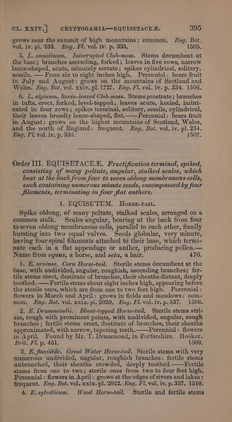 ‘grows near the summit of high mountains: common. Eng. Bot. vol. iv. pl. 233. Eng. Fl. vol. iv. p. 333. 1505. 5. L. annotinum. Interrupted Club-moss. Stems decumbent at the base; branches ascending, forked; leaves in five rows, narrow lance-shaped, acute, minutely serrate; spikes cylindrical, solitary, ‘sessile. —- From six to eight inches high. Perennial: bears fruit in July and August: grows on the mountains of Scotland and Wales. Eng. Bot. vol. xxiv. pl. 1727. Eng. Fl. vol. iv. p. 334. 1506. 6. L. alpinum. Savin-leaved Club-moss. Stems prostrate; branches in tufts, erect, forked, level-topped; leaves acute, keeled, imbri- cated in four rows; spikes terminal, solitary, sessile, cylindrical, their leaves broadly lance-shaped, flat. Perennial: bears fruit in August: grows on the higher mountains of Scotland, Wales, and the north of England: frequent. Eng. Bot. vol. iv. pl. 234. Eng. Fl. vol. iv. p. 335. 1507. Order III. EQUISETACER. Fructification terminal, spiked, consisting of many peltate, angular, stalked scales, which bear at the back from four to seven oblong membranous cells, each containing numerous minute seeds, encompassed by four Jilaments, terminating in four flat anthers. 1. EQUISE’TUM. MHorssz-rTait. Spike oblong, of many peltate, stalked scales, arranged on a common stalk. Scales angular, bearing at the back from four to seven oblong membranous cells, parallel to each other, finally bursting into two equal valves. Seeds globular, very minute, having four spiral filaments attached to their base, which termi- nate each in a flat appendage or anther, producing pollen.— Name from eguus, a horse, and seta, a hair. 476. 1. E. arvénse. Corn Horse-tail. Sterile stems decumbent at the base, with undivided, angular, roughish, ascending branches; fer- tile stems erect, destitute of branches, their sheaths distant, deeply toothed.-——Fertile stems about eight inches high, appearing before the sterile ones, which are from one to two feet high. Perennial : flowers in March and April: grows in fields and meadows: com- mon, ng. Bot. vol. xxix. pl. 2020. Eng. Fl. vol.iv. p.337. 1508. 2. E. Drumméndit. Blunt-topped Horse-tail. Sterile stems stri- ate, rough with prominent points, with undivided, angular, rough branches ; fertile stems erect, destitute of branches, their sheaths approximated, with narrow, tapering teeth. Perennial: flowers in April. Found by Mr. T. Drummond, in Forfarshire. Hooker. Brit. Fl. p. 451. 1509. 3. E. fluvidtile. Great Water Horse-tail. Sterile stems with very numerous undivided, angular, roughish branches: fertile stems unbranched, their sheaths crowded, deeply toothed. Fertile stems from one to two; sterile ones from two to four feet high. Perennial : flowers in April: grows at the edges ofrivers and lakes : frequent. Eng. Bot. vol. xxix. pl. 2022. Eng. Fl. vol. iv. p.337. 1510. 4, E.sylvdticum. Wood Horse-tail, Sterile and fertile stems