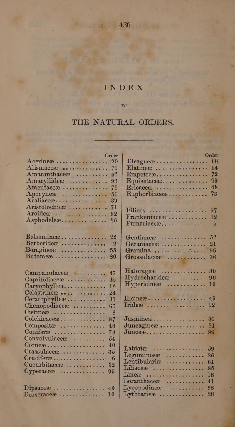 INDEX * TO THE NATURAL ORDERS. Order Order A COYINGe 2565. acpi hh. , 20 | Eleagnez ......-.--- F206 bGS Alismacedaitie’s 0 six tans st. 079 | Hiatinver 220. .sch ane ote eee Amaranthater jisi¢)je:+'5. A 65 | Empetreee........-+-++--- 72 Amaryllidese ;..j...&lt;s)6 of... 93 | Equisetacer........+-.-.- 99 Atmientaceee, 1! « fenmaewscrs oe 76 | Hricacees. 22. -nyrmst eae 48 ApoOcyNeds }) -jsj-3/phets;|-io 41 | Euphorbiacee.......... »» 73 Araliacess. .\ tees ode. 39 A ee bo be cad Awe Heed .evsithnsgale i. ae 97 Oldece Asia. See. a. 82 Trankiad 12 Asphodelege.cics sis iiss - 86 Saran air Fumariacee, . 2): ee ee 5 Galsaminem.). ...... cee 221 Gentianes ~_. 2... «see 52 Berberidese . fe) O48 pee Gerariacees”-. ‘sets sane ah aisle 21 Boraginese p's sis 0! hahha 55 | Gramina ........... Gi: 96 Butomes . 6% i 2. wel seta oh 80 | Grossulacee .... Po alien BB Campanulaces oat dicc... . 47 | Halorager .............. 30 Cupeiitbaces RS” hae be 49 | Hydrocharidee ...... e103 OO Caryophyllee............. 15 | Hypericineee ...........- 19 Celastrinese ........ pe RR va Ceratophyllee.......... .. 31 | Tlicinee................-. 49 Chenopodiaceze See a dakn a. . GG 4, LETOCISIEG chic sp Seas ae ie nis 92 CIStiniere wee ssisickoate os 8 Colchicaces.:.. ... «ae 42% 87 T FesINewe.... 0. sss oe ele 50 Compositte Semi... csp 46 | duneaginere ..........+-am 81 Conifers ite en &lt;haxk sae 78 A Ga RCCHES 5 SUPE Boe rele ae ait af Convolvulace# &lt;..s..é2..¢. 54 C6tnée ce eee eee ee 40 . x. i Labiate -#. ..35 ao. ee 59 aes A 1 eee ita Leguminose «.-..05.... ee). C ee emer 3 ee Ae Lentibularie ...... os ina ee a acurbitates:./.. . igs So 32 THlihode 85 Cyperacere &lt;.... ses... 95 Sh a 7 Lines’ 3.3)..eees «ee ee 16 Loranthace® .....-~.pbee 41 Aerie S|. see. sc 45 | Lycopodine: ...... yams 98 DYGseRBCEe ee ce eee as 10 | Lythrariee ........0% woe 28