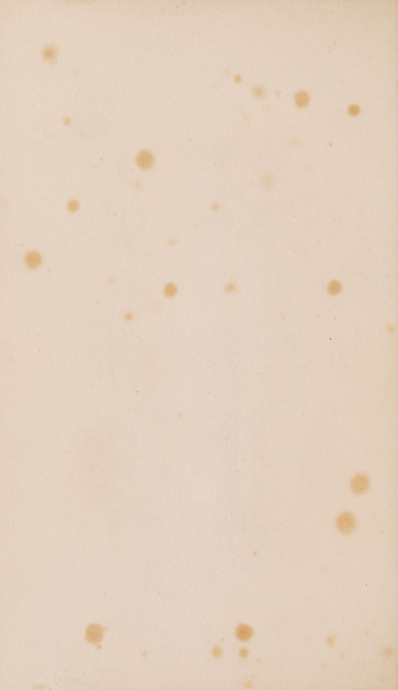 H = e 4 : ‘ * 1 1 i . r. . ‘ 4 « ey 2 ' &amp; ! ‘ J > : 4 ’ avr j J e . j he i: q 7 4 ' ' 7) ‘ + ies a : ¥ UJ z ‘ ' »: P i ‘ aa of * ; ‘ o ‘ i F Bea ’ = . x * Ps ? ‘ a = W 8 BO ‘ ‘ . . =— é “ * > . < 4 ‘ : a iD > , ‘ hg 2 > re Py ‘ ~ ae , J J Li { i ei ; ‘-) + be : fa ah ot an ae Ps ; ie &amp; : ; I ' v ; 5 7 . * hy +. | a4 ), 4 oe Paes 7 ' Cd