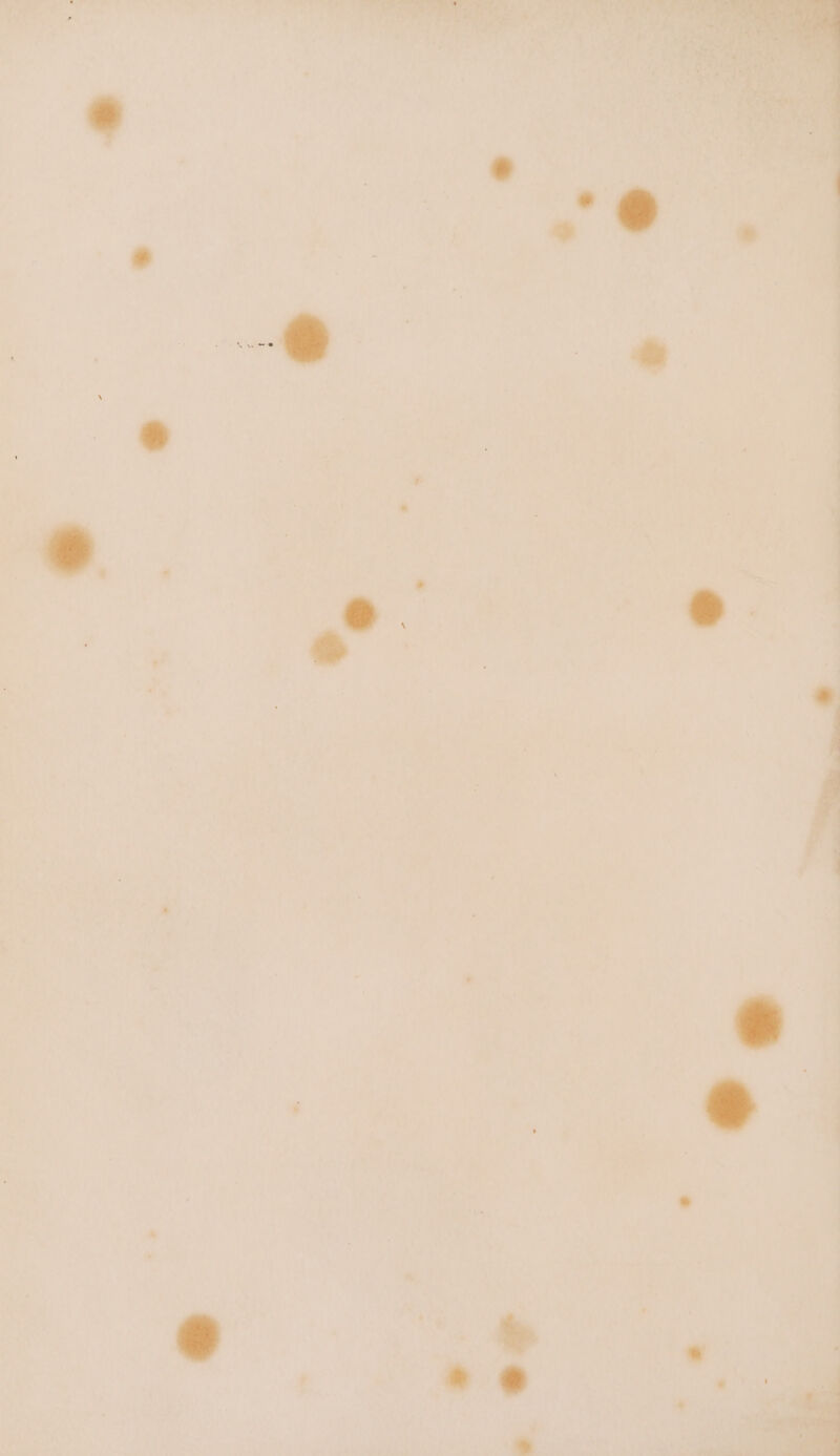 3, >? : : * , “ ‘ + ‘ ' i ‘ . : . | i | :. Pt eel a...) . < Neg! | + i veg” Ty i) , , a | &amp; 3 | | alge ~ . 4 , : ; ; i is “r | | ) j ¥ ; sy a n vey ‘ y : ‘ bh ' ) ‘ f P \ |  a ; 4 oe 1 e e . , | , i : - ‘ Ar ss | ; ‘ ? Oi | | y +4° | 7 45 , | . | i : ‘ é , ig 4; : J