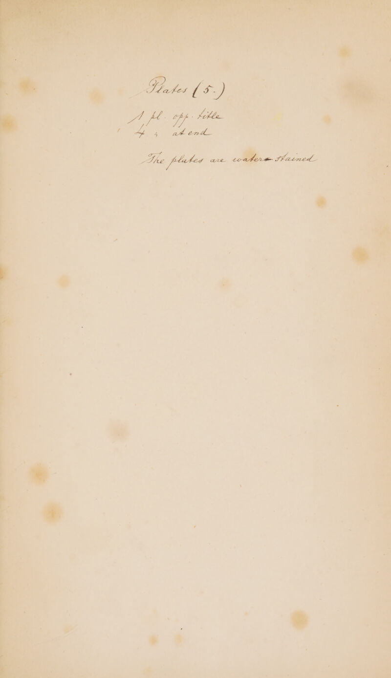 Gbfes a St a cas a pp Kehle. at enil—