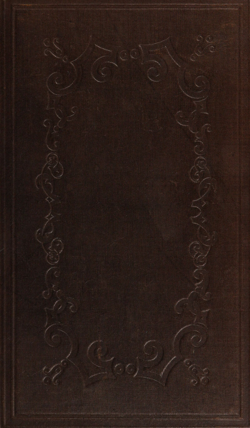 ao belgie ie sprees / : els : PE : : ieencten ities ayers Rocniotie se % aaseaa s.r ae ; It A he EIA a ntellel Mad a a Y ate ~- Te en rd Mb ae ae Re ee TET vie nets pins wie AP ereeen eames Sniper yoien Ras wruate = = te pene eA ; rie: : Rin t ’ 5 i ay Rar aia FSS gee ae) Se 3 t : : ‘: . es : a Ma irorae Pi ierapesr ie pene aiearese : : ps c : $ ee ae ora, ; Pres eigen etsape aden va vl tame pay e AIA a PL ie pnd nto tHe fo pace (ey lala eee retort AAA Dod Set id tah mht teste Mgnt Pca een caer et ota paint ener cee ie tere 7) ‘ Soy Be) e. eid . tii, NA aed oh ee Se ne Ne PML aapornid pofet snow owe : : ; ‘ rs tee none Gnegetcieee ees Soon stern ; wee : ; auncces &lt; semeteesaiete 2 RIS u pedal ntnaed cone HU treet f ESS a vw es m : 2 nee paras od : : eres, Soereee nance ate # Par Sess + eety Es rea bese het Y we hey eae Cm am ee be pad Se es a IRE ; : ogetieos wrk ory nants ous = ase Sot Pee NE ee tet a} mg won wen ¥ eer a eteietre 29 Wp beeen tee peer a stay wit chewrs rrayriaee 2 Aree say = Serer ie oa A PRD DEA fe ere ey Pertediinie Corie ere we fens rs rd Wie mona mtr RAT Ha Oe heh aine, enon ee Fd aN pane oct ce a Wabeeras tate 7 SP AS ee ee 4 te amo pwr cg aye ee Bais meng gee oe eter OP ae Seo we nseemeeraaped peat ; 3e r7 90) Sogmeabanemyncn rs at tent sArones ata eens eRLen tot sp meee ror ae cabeebeeikbeLciteneteroniat nes seer tal 3 bet a eh Sout paca hae enn php aa pei stenreni cram eeornonenancy ohm ngeyegeee tonne Bn alice renter nereneeariets n+ een ranionns-s ager EN wens jaune aioe Kan Ning OCR anime Maer Deion aS ™ _ - ~ 4 5 \s , - : ~ PORES ; : «anes ie 1 fo pa ‘ ° : Fae NAT RR Sienties