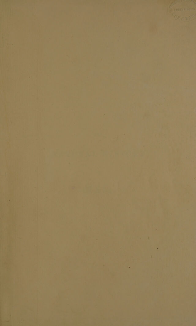 digitised image 3