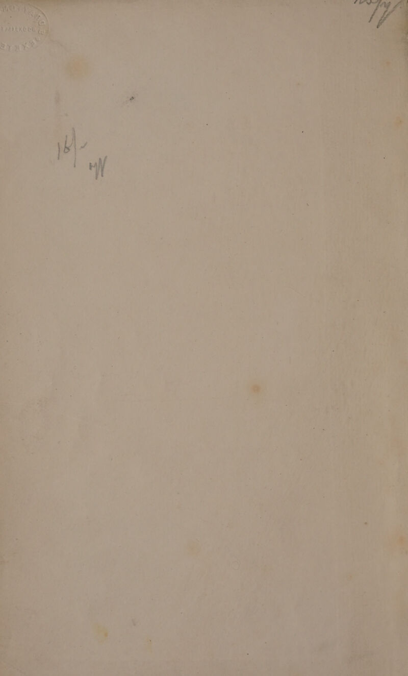 ay ’ i+ ty -* ; }  rc’ £ a he ‘a _ : lin a ry Poh | wer Ay; rd % te H ' ie . ‘ . ' We Sat A i ae é. ia ~- sd a raf ¥ , =* a cs Lire y os . af ey y. A ee +: nee exe, Pak x Sic ‘lp VR eee ik &gt; ay ¢: . ‘ 7 b a “ Bis 9 wee : ‘ - 7 eur ‘ Way he: to. el = Mee ae | ul? a Pd ale ae tt A ., re ced j ‘ we L A  ‘it 2 - iv ek ie toh f $a ‘ ‘4 ue r H . 5 2 : 7 2 E b J r. a - ‘em, : ch a? ¥ = “ 'y —_— be. nea = ‘ — oo a ~~ lcd ‘ ; +9 5 be: % 3 ve»