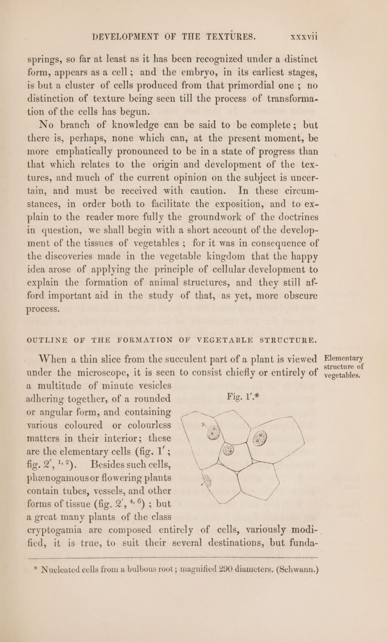 springs, so far at least as it has been recognized under a distinct form, appears as a cell; and the embryo, in its earliest stages, is but a cluster of cells produced from that primordial one ; no distinction of texture being seen till the process of transforma- tion of the cells has begun. No branch of knowledge can be said to be complete; but there is, perhaps, none which can, at the present moment, be more emphatically pronounced to be in a state of progress than that which relates to the origin and development of the tex- tures, and much of the current opinion on the subject is uncer- tain, and must be received with caution. In these circum- stances, in order both to facilitate the exposition, and to ex- plain to the reader more fully the groundwork of the doctrines in question, we shall begin with a short account of the develop- ment of the tissues of vegetables ; for it was in consequence of the discoveries made in the vegetable kingdom that the happy idea arose of applying the principle of cellular development to explain the formation of animal structures, and they still af- ford important aid in the study of that, as yet, more obscure process. OUTLINE OF THE FORMATION OF VEGETABLE STRUCTURE. When a thin slice from the succulent part of a plant is viewed Elementary ? Batad é p ‘ structure of under the microscope, it is seen to consist chiefly or entirely of yegetables. a multitude of minute vesicles adhering together, of a rounded or angular form, and containing various coloured or colourless matters in their interior; these are the elementary cells (fig. 1’; fig. 2,1). Besides such cells, pheenogamousor flowering plants contain tubes, vessels, and other forms of tissue (fig. 2’, *°) ; but a great many plants of the class cryptogamia are composed entirely of cells, variously modi- fied, it is true, to suit their several destinations, but funda- * Nucleated cells from a bulbous root ; magnified 290 diameters. (Schwann.)