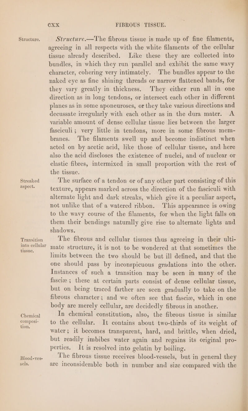 Streaked aspect. Transition into cellular tissue, Chemical composi- tion. Blood-ves- sels. CXX FIBROUS TISSUE. agreeing in all respects with the white filaments of the cellular tissue already described. Like these they are collected into bundles, in which they run parallel and exhibit the same wavy character, cohering very intimately. The bundles appear to the naked eye as fine shining threads or narrow flattened bands, for they vary greatly in thickness. ‘They either run all in one direction as in long tendons, or intersect each other in different planes as in some aponeuroses, or they take various directions and decussate irregularly with each other as in the dura mater. A variable amount of dense cellular tissue lies between the larger fasciculi; very little in tendons, more in some fibrous mem- branes. The filaments swell up and become indistinct when acted on by acetic acid, like those of cellular tissue, and here also the acid discloses the existence of nuclei, and of nuclear or elastic fibres, intermixed in small proportion with the rest of the tissue. The surface of a tendon or of any other part consisting of this texture, appears marked across the direction of the fasciculi with alternate light and dark streaks, which give it a peculiar aspect, not unlike that of a watered ribbon. This appearance is owing to the wavy course of the filaments, for when the light falls on them their bendings naturally give rise to alternate lights and shadows. The fibrous and cellular tissues thus agreeing in their ulti- mate structure, it is not to be wondered at that sometimes the limits between the two should be but ill defined, and that the one should pass by inconspicuous gradations into the other. Instances of such a transition may be seen in many of the fasciee ; these at certain parts consist of dense cellular tissue, but on being traced farther are seen gradually to take on the fibrous character; and we often see that fasciee, which in one body are merely cellular, are decidedly fibrous in another. In chemical constitution, also, the fibrous tissue is similar to the cellular. It contains about two-thirds of its weight of water; it becomes transparent, hard, and brittle, when dried, but readily imbibes water again and regains its original pro- perties. It is resolved into gelatin by boiling. The fibrous tissue receives blood-vessels, but in general they are inconsiderable both in number and size compared with the