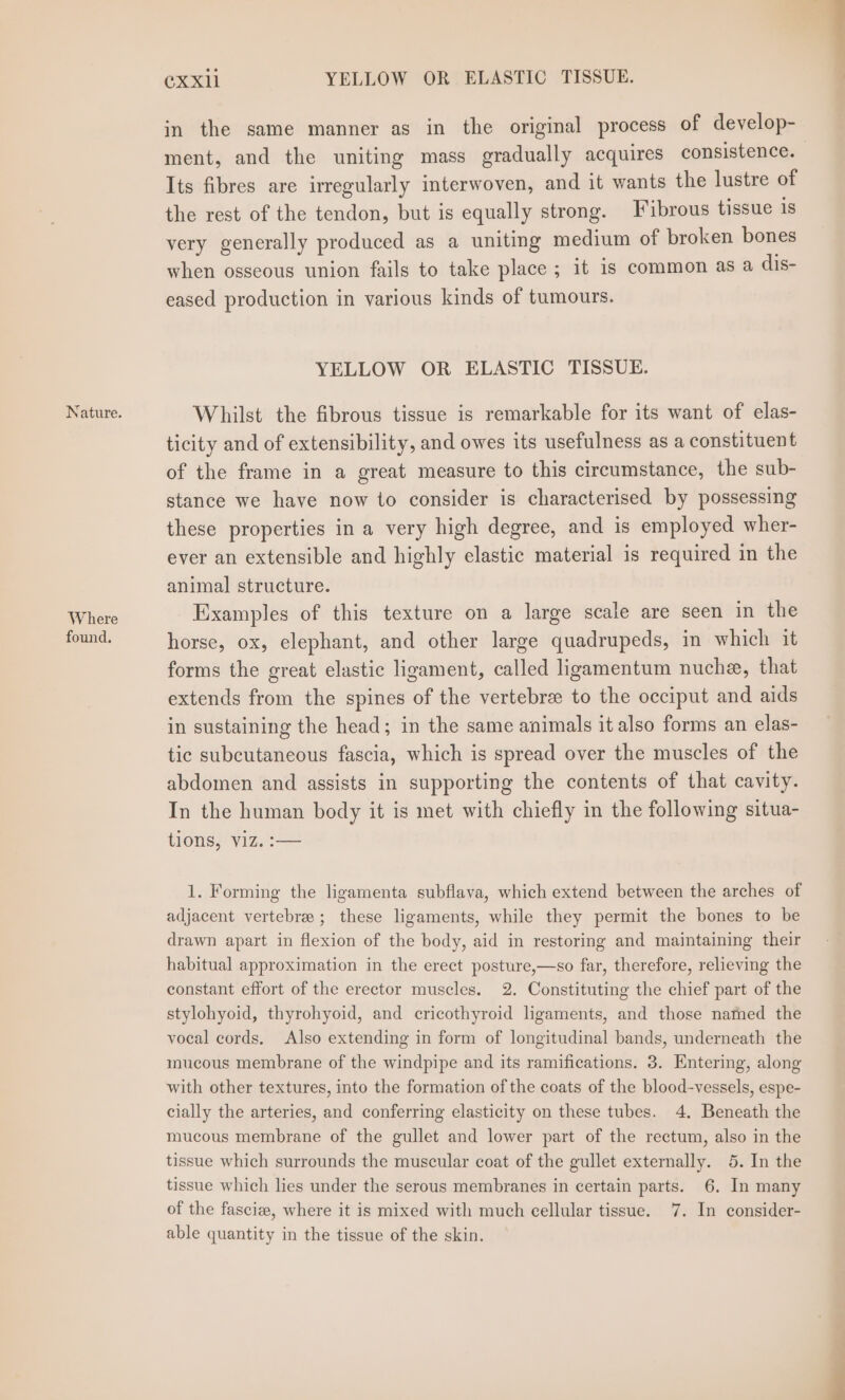 Nature. Where found. @xxll YELLOW OR ELASTIC TISSUE. in the same manner as in the original process of develop- ment, and the uniting mass gradually acquires consistence. Its fibres are irregularly interwoven, and it wants the lustre of the rest of the tendon, but is equally strong. Fibrous tissue is very generally produced as a uniting medium of broken bones when osseous union fails to take place ; it is common as a dis- eased production in various kinds of tumours. YELLOW OR ELASTIC TISSUE. Whilst the fibrous tissue is remarkable for its want of elas- ticity and of extensibility, and owes its usefulness as a constituent of the frame in a great measure to this circumstance, the sub- stance we have now to consider is characterised by possessing these properties in a very high degree, and is employed wher- ever an extensible and highly elastic material is required in the animal structure. Examples of this texture on a large scale are seen in the horse, ox, elephant, and other large quadrupeds, in which it forms the great elastic ligament, called ligamentum nuche, that extends from the spines of the vertebrae to the occiput and aids in sustaining the head; in the same animals it also forms an elas- tic subcutaneous fascia, which is spread over the muscles of the abdomen and assists in supporting the contents of that cavity. In the human body it is met with chiefly in the following situa- tions, V1Z. :— 1. Forming the ligamenta subfiava, which extend between the arches of adjacent vertebrae; these ligaments, while they permit the bones to be drawn apart in flexion of the body, aid in restoring and maintaining their habitual approximation in the erect posture,—so far, therefore, relieving the constant effort of the erector muscles. 2. Constituting the chief part of the stylohyoid, thyrohyoid, and cricothyroid ligaments, and those nated the vocal cords, Also extending in form of longitudinal bands, underneath the mucous membrane of the windpipe and its ramifications. 3. Entering, along with other textures, into the formation of the coats of the blood-vessels, espe- cially the arteries, and conferring elasticity on these tubes. 4. Beneath the mucous membrane of the gullet and lower part of the rectum, also in the tissue which surrounds the muscular coat of the gullet externally. 5. In the tissue which lies under the serous membranes in certain parts. 6. In many of the fasciz, where it is mixed with much cellular tissue. 7. In consider- able quantity in the tissue of the skin.