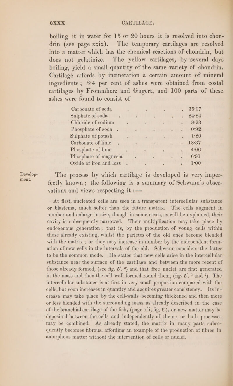 Develop- ment. CXxxX CARTILAGE. boiling it in water for 15 or 20 hours it is resolved into chon- drin (see page xxix). The temporary cartilages are resolved into a matter which has the chemical reactions of chondrin, but does not gelatinize. The yellow cartilages, by several days boiling, yield a small quantity of the same variety of chondrin. Cartilage affords by incineration a certain amount of mineral ingredients ; 3:4 per cent of ashes were obtained from costal cartilages by Frommherz and Gugert, and 100 parts of these ashes were found to consist of Carbonate of soda : : : = eDrOy Sulphate of soda ; : ; . ' Taree Chloride of sodium : ‘ ; . » B23 Phosphate of soda . : : ype “OZ Sulphate of potash ; : 5 f lh20 Carbonate of lime . é ; poy, AStes Phosphate of lime , ; ‘ . 406 Phosphate of magnesia : : epee 3). Oxide of iron and loss . ‘ : ; ** 106 The process by which cartilage is developed is very imper- fectly known; the following is a summary of Schwann’s obser- vations and views respecting it :— At first, nucleated cells are seen in a transparent intercellular substance or blastema, much softer than the future matrix. The cells augment in number and enlarge in size, though in some cases, as will be explained, their cavity is subsequently narrowed. Their multiplication may take place by endogenous generation; that is, by the production of young cells within those already existing, whilst the parietes of the old ones become blended with the matrix ; or they may increase in number by the independent form- ation of new cells in the intervals of the old. Schwann considers the latter to be the common mode. He states that new cells arise in the intercellular substance near the surface of the cartilage and between the more recent of those already formed, (see fig. 5’. *) and that free nuclei are first generated in the mass and then the cell-wall formed round them, (fig. 5’. 1 and *). The intercellular substance is at first in very small proportion compared with the cells, but soon increases in quantity and acquires greater consistency. Its in- crease may take place by the cell-walls becoming thickened and then more or less blended with the surrounding mass as already described in the case of the branchial cartilage of the fish, (page xli, fig. 6’), or new matter may be deposited between the cells and independently of them; or both processes may be combined. As already stated, the matrix in many parts subse- quently becomes fibrous, affording an example of the production of fibres in amorphous matter without the intervention of cells or nuclei.