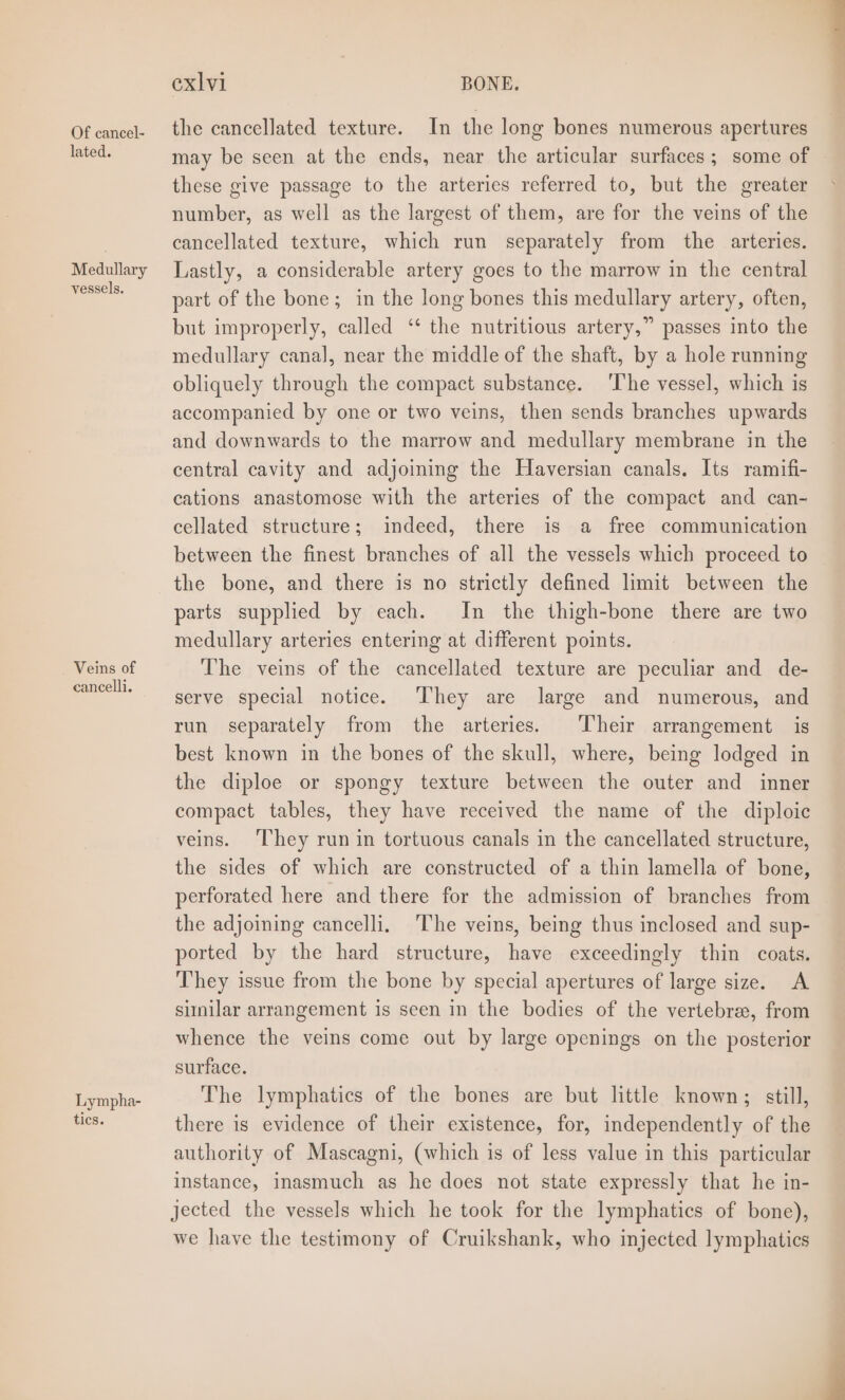 Of cancel- lated. Medullary vessels. Veins of cancelli. Lympha- tics. exlv1 BONE. the cancellated texture. In the long bones numerous apertures may be seen at the ends, near the articular surfaces; some of these give passage to the arteries referred to, but the greater number, as well as the largest of them, are for the veins of the cancellated texture, which run separately from the arteries. Lastly, a considerable artery goes to the marrow in the central part of the bone; in the long bones this medullary artery, often, but improperly, called ‘‘ the nutritious artery,” passes into the medullary canal, near the middle of the shaft, by a hole running obliquely through the compact substance. ‘T’he vessel, which is accompanied by one or two veins, then sends branches upwards and downwards to the marrow and medullary membrane in the central cavity and adjoining the Haversian canals. Its ramifi- cations anastomose with the arteries of the compact and can- cellated structure; indeed, there is a free communication between the finest branches of all the vessels which proceed to the bone, and there is no strictly defined limit between the parts supplied by each. In the thigh-bone there are two medullary arteries entering at different points. The veins of the cancellated texture are peculiar and de- serve special notice. ‘They are large and numerous, and run separately from the arteries. ‘Their arrangement is best known in the bones of the skull, where, being lodged in the diploe or spongy texture between the outer and inner compact tables, they have received the name of the diploic veins. ‘They run in tortuous canals in the cancellated structure, the sides of which are constructed of a thin lamella of bone, perforated here and there for the admission of branches from the adjoining cancelli. The veins, being thus inclosed and sup- ported by the hard structure, have exceedingly thin coats. They issue from the bone by special apertures of large size. A sinilar arrangement is seen in the bodies of the vertebra, from whence the veins come out by large openings on the posterior surface. The lymphatics of the bones are but little known; still, there is evidence of their existence, for, independently of the authority of Mascagni, (which is of less value in this particular instance, inasmuch as he does not state expressly that he in- jected the vessels which he took for the lymphatics of bone), we have the testimony of Cruikshank, who injected lymphatics