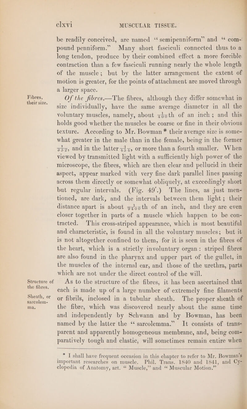 Fibres, their size. Structure of the fibres. Sheath, or sarcolem- ma. elxvi MUSCULAR TISSUE. be readily conceived, are named ‘‘ semipenniform” and ‘* com- pound penniform.” Many short fasciculi connected thus to a long tendon, produce by their combined effect a more forcible contraction than a few fasciculi running nearly the whole length of the muscle; but by the latter arrangement the extent of motion is greater, for the points of attachment are moved through a larger space. Of the fibres.—The fibres, although they differ somewhat in size individually, have the same average diameter in all the voluntary muscles, namely, about hee of an inch; and this holds good whether the muscles be coarse or fine in their obvious texture. According to Mr. Bowman ®* their average size is some- what greater in the male than in the female, being in the former 3sz, and in the latter z3z, or more thana fourth smaller. When viewed by transmitted light with a sufficiently high power of the microscope, the fibres, which are then clear and pellucid in their aspect, appear marked with very fine dark parallel lines passing across them directly or somewhat obliquely, at exceedingly short but regular intervals. (Fig. 49°.) The lines, as just men- tioned, are dark, and the intervals between them light ; their distance apart is about g¢ooth of an inch, and they are even closer together in parts of a muscle which happen to be con- tracted. This cross-striped appearance, which is most beautiful and characteristic, is found in all the voluntary muscles; but it is not altogether confined to them, for it is seen in the fibres of the heart, which is a strictly involuntary organ: striped fibres are also found in the pharynx and upper part of the gullet, in the muscles of the internal ear, and those of the urethra, parts which are not under the direct control of the will. As to the structure of the fibres, it has been ascertained that each is made up of a large number of extremely fine filaments or fibrils, inclosed in a tubular sheath. The proper sheath of the fibre, which was discovered nearly about the same time and independently by Schwann and by Bowman, has been named by the latter the ‘‘ sarcolemma.” It consists of trans- parent and apparently homogeneous membrane, and, being com- paratively tough and elastic, will sometimes remain entire when * IT shall have frequent occasion in this chapter to refer to Mr. Bowman’s important researches on muscle. Phil. Trans. 1840 and 1841, and Cy- clopedia of Anatomy, art. “ Muscle,” and ‘“ Muscular Motion.”