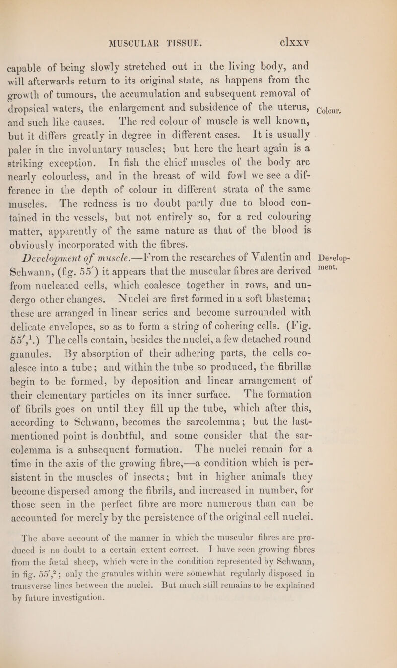 capable of being slowly stretched out in the living body, and will afterwards return to its original state, as happens from the erowth of tumours, the accumulation and subsequent removal of dropsical waters, the enlargement and subsidence of the uterus, and such like causes. The red colour of muscle is well known, but it differs greatly in degree in different cases. It is usually paler in the involuntary muscles; but here the heart again is a striking exception. In fish the chief muscles of the body are nearly colourless, and in the breast of wild fowl we see a dif- ference in the depth of colour in different strata of the same muscles. The redness is no doubt partly due to blood con- tained in the vessels, but not entirely so, for a red colouring matter, apparently of the same nature as that of the blood is obviously incorporated with the fibres. Development of muscle.—F rom the researches of Valentin and Schwann, (fig. 55°) it appears that the muscular fibres are derived from nucleated cells, which coalesce together in rows, and un- dergo other changes. Nuclei are first formed ina soft blastema; these are arranged in linear series and become surrounded with delicate envelopes, so as to form a string of coheriug cells. (Hig. 55’,1.) The cells contain, besides the nuclei, a few detached round granules. By absorption of their adhering parts, the cells co- alesce into a tube; and within the tube so produced, the fibrillee begin to be formed, by deposition and linear arrangement of their elementary particles on its inner surface. The formation of fibrils goes on until they fill up the tube, which after this, according to Schwann, becomes the sarcolemma; but the last- mentioned point is doubtful, and some consider that the sar- colemma is a subsequent formation. The nuclei remain for a time in the axis of the growing fibre,—a condition which is per- sistent in the muscles of insects; but in higher animals they become dispersed among the fibrils, and increased in number, for those seen in the perfect fibre are more numerous than can be accounted for merely by the persistence of the original cell nuclei. The above account of the manner in which the muscular fibres are pro- duced is no doubt to a certain extent correct. J have seen growing fibres from the foetal sheep, which were in the condition represented by Schwann, in fig. 55’,?; only the granules within were somewhat regularly disposed in transverse lines between the nuclei. But much still remains to be explained by future investigation. Colour, Develop- ment,