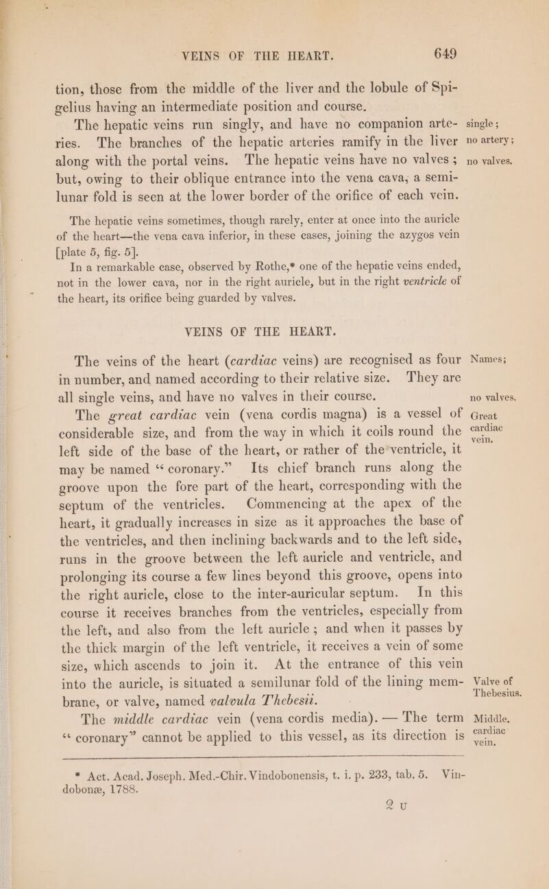 tion, those from the middle of the liver and the lobule of Spi- gelius having an intermediate position and course. The hepatic veins run singly, and have no companion arte- ries. The branches of the hepatic arteries ramify in the liver along with the portal veins. The hepatic veins have no valves 5 but, owing to their oblique entrance into the vena cava, a semi- The hepatic veins sometimes, though rarely, enter at once into the auricle of the heart—the vena cava inferior, in these cases, joining the azygos vein [plate 5, fig. 5]. In a remarkable case, observed by Rothe,* one of the hepatic veins ended, not in the lower cava, nor in the right auricle, but in the right ventricle of the heart, its orifice being guarded by valves. VEINS OF THE HEART. The veins of the heart (cardiac veins) are recognised as four in number, and named according to their relative size. They are all single veins, and have no valves in their course. The great cardiac vein (vena cordis magna) is a vessel of considerable size, and from the way in which it coils round the left side of the base of the heart, or rather of the ventricle, it may be named “coronary.” Its chief branch runs along the groove upon the fore part of the heart, corresponding with the septum of the ventricles. Commencing at the apex of the heart, it gradually increases in size as it approaches the base of the ventricles, and then inclining backwards and to the left side, runs in the groove between the left auricle and ventricle, and prolonging its course a few lines beyond this groove, opens into the right auricle, close to the inter-auricular septum. In this course it receives branches from the ventricles, especially from the left, and also from the left auricle ; and when it passes by the thick margin of the left ventricle, it receives a vein of some size, which ascends to join it. At the entrance of this vein into the auricle, is situated a semilunar fold of the lining mem- brane, or valve, named valoula Thebesia. The middle cardiac vein (vena cordis media). — The term ‘¢ coronary” cannot be applied to this vessel, as its direction is * Act. Acad. Joseph. Med.-Chir. Vindobonensis, t. i. p. 233, tab. 5. Vin- dobone, 1788. sa single ; no artery ; no valves. Names; no valves. Great cardiac vein. Valve of Thebesius. Middle. cardiac’ vein.