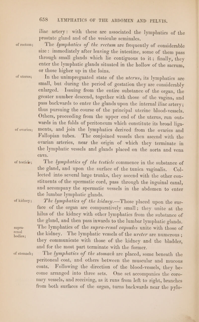 of rectum; of uterus; of ovaries; of testicle; of kidney; supra- renal bodies; of stomach ; 658 LYMPHATICS OF THE ABDOMEN AND PELVIS. iliac artery: with these are associated the lymphatics of the prostate gland and of the vesicule seminales. The lymphatics of the rectum are frequently of considerable size: immediately after leaving the intestine, some of them pass through small glands which lie contiguous to it; finally, they enter the lymphatic glands situated in the hollow of the sacrum, or those higher up in the loins. In the unimpregnated state of the uterus, its lymphatics are small, but during the period of gestation they are considerably enlarged. Issuing from the entire substance of the organ, the greater number descend, together with those of the vagina, and pass backwards to enter the glands upon the internal iliac artery ; thus pursuing the course of the principal uterine blood-vessels. Others, proceeding from the upper end of the uterus, run out- wards in the folds of peritoneum which constitute its broad liga- ments, and join the lymphatics derived from the ovaries and Fallopian tubes. The conjoined vessels then ascend with the ovarian arteries, near the origin of which they terminate in the lymphatic vessels and glands placed on the aorta and vena cava. Lhe lymphatics of the testicle commence in the substance of the gland, and upon the surface of the tunica vaginalis. Col- lected into several large trunks, they ascend with the other con- stituents of the spermatic cord, pass through the inguinal canal, and accompany the spermatic vessels in the abdomen to enter the Jumbar lymphatic glands. The lymphatics of the kidney.—Those placed upon the sur- face of the organ are comparatively small; they unite at the hilus of the kidney with other lymphatics from the substance of the gland, and then pass inwards to the lumbar lymphatic glands. The lymphatics of the supra-renal capsules unite with those of the kidney. The lymphatic vessels of the wreter are numerous ; they communicate with those of the kidney and the bladder, and for the most part terminate with the former. The lymphatics of the stomach are placed, some beneath the peritoneal coat, and others between the muscular and mucous coats, Following the direction of the blood-vessels, they be- come arranged into three sets. One set accompanies the coro- nary vessels, and receiving, as it runs from left to right, branches from both surfaces of the organ, turns backwards near the pylo-