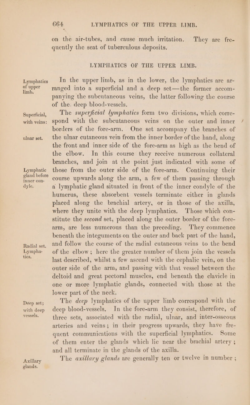 Lymphatics of upper limb. Superficial, with veins: ulnar set. Lymphatic gland before inner con- dyle. Radial set. Lympha- tics. Deep set; with deep vessels. Axillary glands. 664 LYMPHATICS OF THE UPPER LIMB. on the air-tubes, and cause much irritation. They are fre- quently the seat of tuberculous deposits. LYMPHATICS OF THE UPPER LIMB. In the upper limb, as in the lower, the lymphatics are ar- ranged into a superficial and a deep set—the former accom- panying the subcutaneous veins, the latter following the course of the. deep blood-vessels. The superficial lymphatics form two divisions, which corre- spond with the subcutaneous veins on the outer and inner borders of the fore-arm. One set accompany the branches of the ulnar cutaneous vein from the inner border of the hand, along the front and inner side of the fore-arm as high as the bend of the elbow. In this course they receive numerous collateral branches, and join at the point just indicated with some of those from the outer side of the fore-arm. Continuing their course upwards along the arm, a few of them passing through a lymphatic gland situated in front of the inner condyle of the humerus, these absorbent vessels terminate either in glands placed along the brachial artery, or in those of the axilla, where they unite with the deep lymphatics. Those which con- stitute the second set, placed along the outer border of the fore- arm, are less numerous than the preceding. ‘They commence beneath the integuments on the outer and back part of the hand, and follow the course of the radial cutaneous veins to the bend of the elbow; here the greater number of them join the vessels last described, whilst a few ascend with the cephalic vein, on the outer side of the arm, and passing with that vessel between the deltoid and great pectoral muscles, end beneath the clavicle in one or more lymphatic glands, connected with those at the lower part of the neck. | The deep lymphatics of the upper limb correspond with the deep blood-vessels. In the fore-arm they consist, therefore, of three sets, associated with the radial, ulnar, and inter-osseous arteries and veins; in their progress upwards, they have fre- quent communications with the superficial lymphatics. Some of them enter the glands which lie near the brachial artery ; and all terminate in the glands of the axilla. The axillary glands are generally ten or twelve in number ;