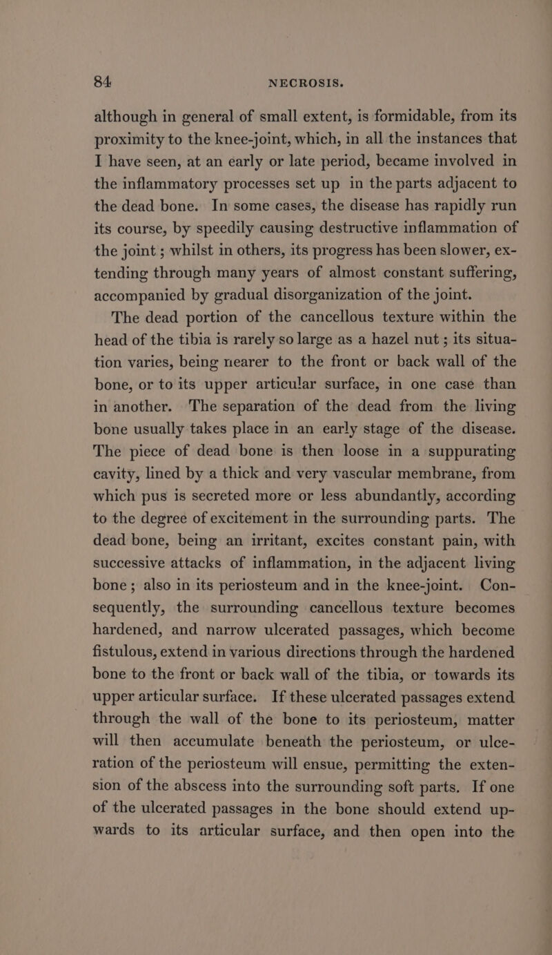 although in general of small extent, is formidable, from its proximity to the knee-joint, which, in all the instances that I have seen, at an early or late period, became involved in the inflammatory processes set up in the parts adjacent to the dead bone. In some cases, the disease has rapidly run its course, by speedily causing destructive inflammation of the joint ; whilst in others, its progress has been slower, ex- tending through many years of almost constant suffering, accompanied by gradual disorganization of the joint. The dead portion of the cancellous texture within the head of the tibia is rarely so large as a hazel nut ; its situa- tion varies, being nearer to the front or back wall of the bone, or to its upper articular surface, in one case than in another. The separation of the dead from the living bone usually takes place in an early stage of the disease. The piece of dead bone is then loose in a suppurating cavity, lined by a thick and very vascular membrane, from which pus is secreted more or less abundantly, according to the degree of excitement in the surrounding parts. The dead bone, being an irritant, excites constant pain, with successive attacks of inflammation, in the adjacent living bone ; also in its periosteum and in the knee-joint. Con- sequently, the surrounding cancellous texture becomes hardened, and narrow ulcerated passages, which become fistulous, extend in various directions through the hardened bone to the front or back wall of the tibia, or towards its upper articular surface. If these ulcerated passages extend through the wall of the bone to its periosteum, matter will then accumulate beneath the periosteum, or ulce- ration of the periosteum will ensue, permitting the exten- sion of the abscess into the surrounding soft parts. If one of the ulcerated passages in the bone should extend up- wards to its articular surface, and then open into the