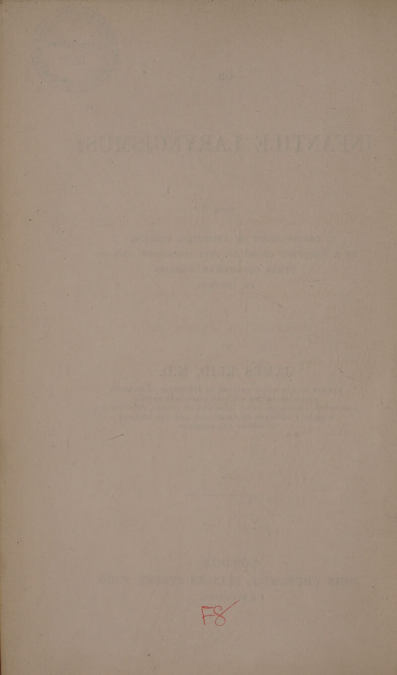 x * &amp;4 40 eid ee ma fs ut ioe ah G Natta i a aie AVR ae bile ) BaBT 3 a 7 thay ov 2G OT wy eee “peels = 0 Pj eeerls pn (Ein WEA VA seers ee Tn aS jae! ‘os Crs 2 when +