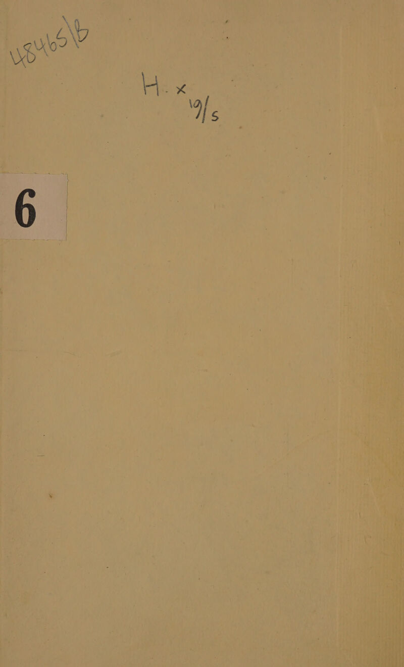 a tN , ‘ 2 « a % . ” 4 ’ oa Pe Pao ee ? 7 ht t hae t, o&gt; a aT eat &lt; om ge Te it ' Mae teat om ft a ie Aa { ; :.: ns f Pa a i} . t- igs)