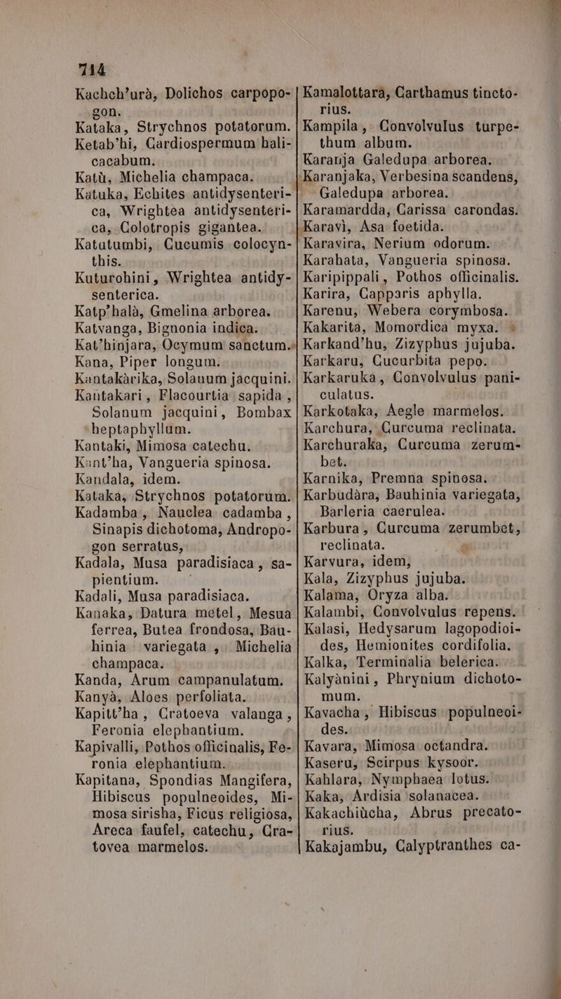 744 Kachch’urà, Dolichos carpopo- Zon. ara Strychnos potatorum. Ketab’hi, Gardiospermum bhali- cacabum. Katù, Michelia champaca. ca, Wrightea antidysenteri- ca, Colotropis gigantea. Katutumbi, Cucumis colocyn- this. Kuturohini, Wrightea antidy- senterica. Katp'halà, Gmelina arborea. Katvanga, Bignonia indica. Kana, Piper longum. Kantakàrika, Solauum jacquini. Kantakari, Flacourtia sapida, Solanum jacquini, Bombax heptaphyllum. Kantaki, Mimosa catechu. Kant'ha, Vangueria spinosa. Kandala, idem. Kataka, Strychnos potatorum. Kadamba, Nauclea cadamba, Sinapis dichotoma, Andropo- gon serratus, Kadala, Musa paradisiaca, sa- pientium. i Kadali, Musa paradisiaca. Kanakay Datura metel, Mesua fntreti; Butea frondosa, Bau- hinia variegata , Michelia champaca. Kanda, Arum campanulatum. Kanyà, Aloes perfoliata. Kapitt'ha, Cratoeva valanga, Feronia elephantium. Kapivalli, Pothos.officinalis, Fe- ronia elephantium. Kapitana, Spondias Mangifera, Hibiscus populneoides, Mi- mosa sirisha, Ficus religiosa, Areca faufel, catechu, Gra- tovea marmelos. Kamalottara, Garthamus tincto- rius. Kampila, Convolvulus turpe- thum album. Karanja Galedupa arborea. Galedupa arborea. Karamardda, Carissa carondas. Karavira, Nerium odorum. Karahata, Vangueria spinosa. Karipippali, Pothos officinalis. Karira, Gapparis aphylla. Karenu; Webera corymbosa. Kakarita, Momordica myxa. è Karkand’hu, Zizyphus jujuba. Karkaru, Cucurbita pepo. Karkaruka, Gonvolvulus pani- culatus. Karkotaka, Aegle marmelos. Karchura, Curcuma reclinata. Karchuraka; Curcuma zerum- bet. Karnika, Premna spinosa. Karbudàra, Bauhinia variegata, Barleria caerulea. Karbura, Curcuma rguarabiliy reclinata. di Karvura, idem, Kala, Zizyphus jujuba. Kalama, Oryza alba. Kalambi, Convolvulus repens. Kalasi, Hedysarum lagopodioi- des, Hemionites cordifolia. Kalka, Terminalia belerica. Kalyànini, Phrynium dichoto- mum. Kavacha, Hibiscus pp des. Kavara, Mimosa: octandra. Kaseru, Scirpus kysoor. Kahlara, Nymphaea lotus. Kaka, Ardisia ‘solanacea. Kakachiùcha, Abrus precato- rius. Kakajambu, Calyptranthes ca-