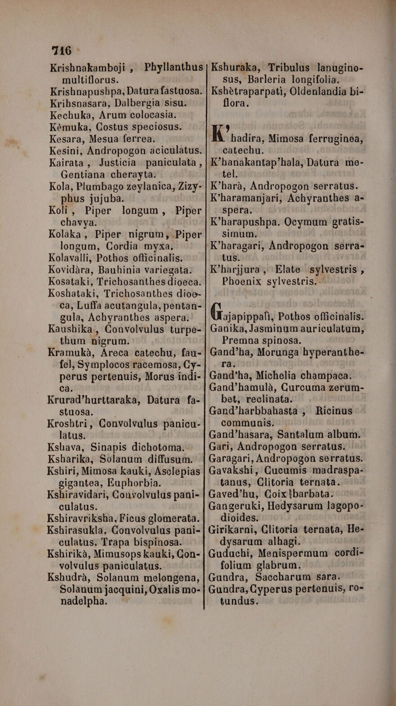 7416. Krisbnakamboji , Phyllanthus multiflorus. Krishnapushpa, Datura fastuosa. Krihsnasara, Dalbergia sisu. Kechuka, Arum colocasia. Kèmuka, Costus speciosus. Kesara, Mesua ferrea. Kesini, Andropogon aciculatus. Kairata, Justicia paniculata, Gentiana cherayta. Kola, Plumbago zeylanica, Zizy- phus jujuba. Koli, Piper longum, Piper chavya. Kolaka, Piper nigrum, Piper longum, Cordia myxa, Kolavalli, Pothos ofticinalis. Kovidàra, Bauhinia variegata. Kosataki, Trichosanthesdioeca. Koshataki, Trichosanthes dioe- ca, Luffa acutangula, pentan- gula, Achyranthes aspera. Kaushika,, Convolvulus turpe- thum nigrum. Kramukà, Areca catechu, fau- fel, Symplocos racemosa, Gy- perus pertenuis, Morus indi- ca. Krurad’hurttaraka, Datura fa- stuosa. Kroshtri, Convolvulus panicu- latus. Kslava, Sinapis dichotoma. Ksharika, Solanum diffusum. Kshiri, Mimosa kauki, Asclepias gigantea, Euphorbia. Kshiravidari, Gonvolvulus pani- culatus. Kshiravriksha, Ficus glomerata. Kshirasukla, Convolvalus pani- culatus, Trapa bispinosa. Kshirikà, Mimusops kauki, Gon- volvalus paniculatus. Kshudrà, Solanum melongena, Solanum jacquini, Oxalis mo- nadelpha. Kshuraka, Tribulus lanugino- sus, Barleria longifolia. Kshètraparpati, Oldenlandia bi- flora. ) K hadira, Mimosa ferruginea, catechu. K’hanakantap'hala, Datura me- tel. K’harà, Andropogon serratus. K’haramanjari, Achyranthes a- spera. K'harapushpa. Ocymum gratis- simum. K’haragari, Andropogon serra- tus. K'harjjura, Elate sylvestris , Phoenix sylvestris.. (tajapippafì, Pothos officinalis. Ganika, Jasminumauriculatum, Premna spinosa. Gand’ha, Morunga hyperanthe- ra. Gand’ha, Michelia champaca. Gand’hamulà, Curcuma zerum- bet, reclinata. Gand’harbbahasta , Ricinus communis. Gand’hasara, Santalum album. Gari, Andropogon serratus. Garagari, Andropogon serratus. Gavakshi, Cucumis madraspa- tanus, Glitoria ternata. Gaved’hu, Goixibarbata. Gangeruki, Hedysarum lagopo- dioides. Girikarni, Glitoria ternata, He- dysarum alhagi. Guduchi, Menispermum cordi- folium glabrum. Gundra, Saccharum sara. Gundra, Cyperus pertenuis, ro- tundus.