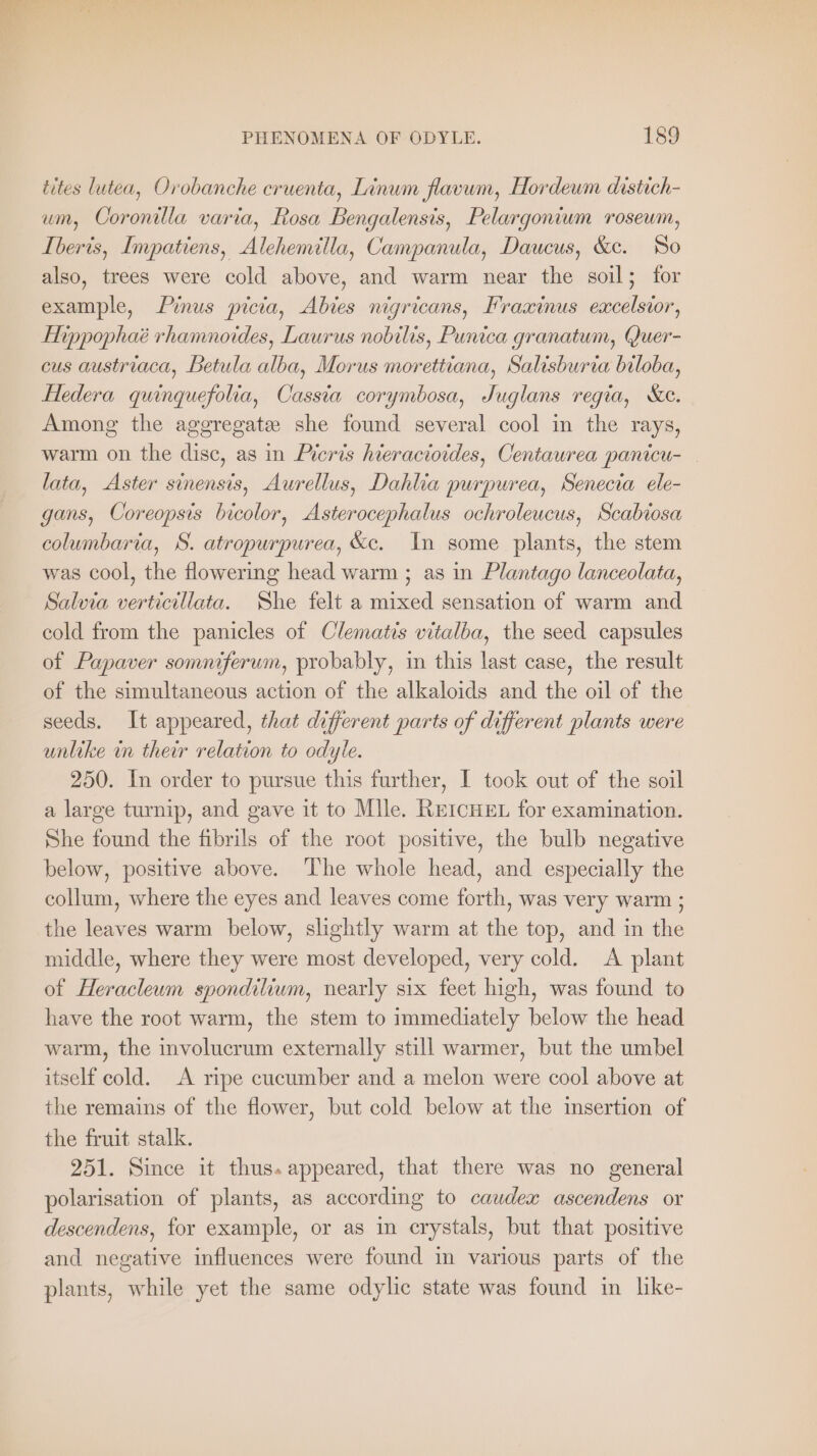 tites lutea, Orobanche eruenta, Linum flavum, Hordeum distich- um, Coronilla varia, Rosa Bengalensis, Pelargonium roseum, Iberis, Impatiens, Alehemilla, Campanula, Daucus, &amp;c. So also, trees were cold above, and warm near the soil; for example, Pinus picia, Abies nigricans, Fraxinus excelsvor, Hippophaé rhamnoides, Laurus nobilis, Punica granatum, Quer- cus austriaca, Betula alba, Morus morettiana, Salisburia biloba, Hedera quinquefolia, Cassia corymbosa, Juglans regia, ce. Among the aggregate she found several cool in the rays, warm on the disc, as in Picris hieracioides, Centaurea panicu- lata, Aster sinensis, Aurellus, Dahlia purpurea, Senecia ele- gans, Coreopsis bicolor, Asterocephalus ochroleucus, Scabiosa columbaria, S. atropurpurea, &amp;c. In some plants, the stem was cool, the flowering head warm ; as in Plantago lanceolata, Salvia verticillata. She felt a mixed sensation of warm and cold from the panicles of Clematis vitalba, the seed capsules of Papaver somniferum, probably, in this last case, the result of the simultaneous action of the alkaloids and the oil of the seeds. It appeared, that different parts of different plants were unlike in their relation to odyle. 250. In order to pursue this further, I took out of the soil a large turnip, and gave it to Mile. REICHEL for examination. She found the fibrils of the root positive, the bulb negative below, positive above. The whole head, and especially the collum, where the eyes and leaves come forth, was very warm ; the leaves warm below, slightly warm at the top, and in the middle, where they were most developed, very cold. A plant of Heracleum spondilium, nearly six feet high, was found to have the root warm, the stem to immediately below the head warm, the involucrum externally still warmer, but the umbel itself cold. A ripe cucumber and a melon were cool above at the remains of the flower, but cold below at the insertion of the fruit stalk. 251. Since it thus. appeared, that there was no general polarisation of plants, as according to caudex ascendens or descendens, for example, or as in crystals, but that positive and negative influences were found in various parts of the plants, while yet the same odylie state was found in like-