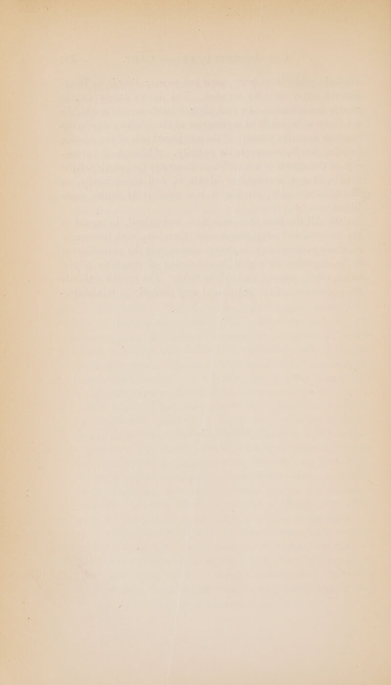 ~ re Se 7 TE er pli a ‘a En BR rei eal TS iti ef 4o i IRE die air : PH ceem sta la et ‘als RE rer em abt; <4 a Fi: u Krrsieta on vr BETEN ey r Deere is here rane! 4 . eb ged ron qeiee Erawehian sat Zah A Bere ae hate ; ea Due Bt ot pee oe ve Low Val a ~ ® ® ' - = ehe or = Ab a Bra 2 ba Sr ausleben a Gatidie- OF Bine INH Ye vals ide TAG + Pa t grat 2 | nl 4) $ | u: 27 we ( - ; 3 es GeO nl SMe TS | iF Ra u; ities er Apr gen > rc ee = a BER | oe 5 ste Te Die |