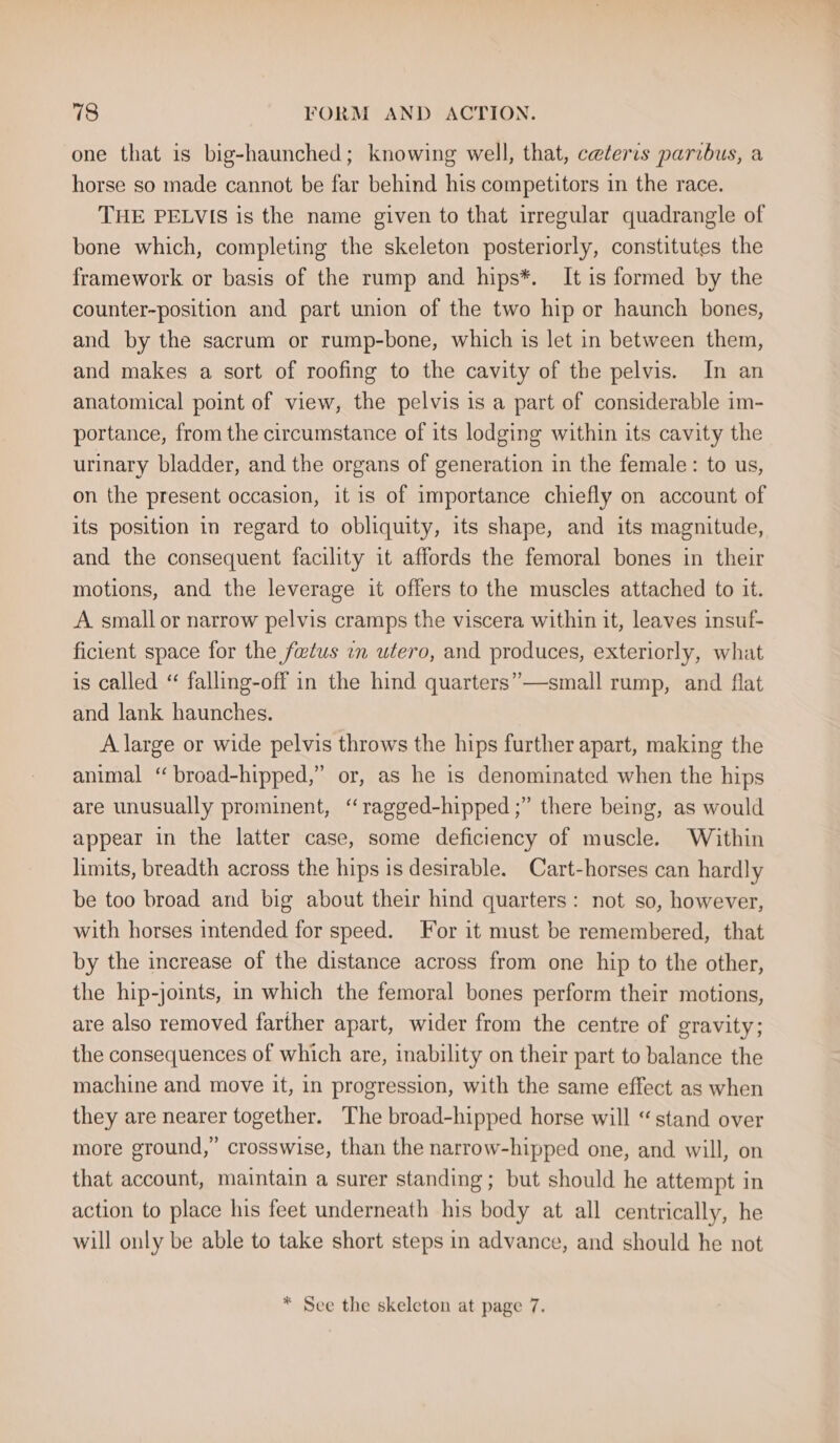 one that is big-haunched; knowing well, that, ceteris paribus, a horse so made cannot be far behind his competitors in the race. THE PELVIS is the name given to that irregular quadrangle of bone which, completing the skeleton posteriorly, constitutes the framework or basis of the rump and hips*. It is formed by the counter-position and part union of the two hip or haunch bones, and by the sacrum or rump-bone, which is let in between them, and makes a sort of roofing to the cavity of the pelvis. In an anatomical point of view, the pelvis is a part of considerable im- portance, from the circumstance of its lodging within its cavity the urinary bladder, and the organs of generation in the female: to us, on the present occasion, it is of importance chiefly on account of its position in regard to obliquity, its shape, and its magnitude, and the consequent facility it affords the femoral bones in their motions, and the leverage it offers to the muscles attached to it. A small or narrow pelvis cramps the viscera within it, leaves insuf- ficient space for the fetus in utero, and produces, exteriorly, what is called “ falling-off in the hind quarters”—small rump, and flat and lank haunches. A large or wide pelvis throws the hips further apart, making the animal “ broad-hipped,” or, as he is denominated when the hips are unusually prominent, “ragged-hipped ;” there being, as would appear in the latter case, some deficiency of muscle. Within limits, breadth across the hips is desirable. Cart-horses can hardly be too broad and big about their hind quarters: not so, however, with horses intended for speed. For it must be remembered, that by the increase of the distance across from one hip to the other, the hip-joints, in which the femoral bones perform their motions, are also removed farther apart, wider from the centre of gravity; the consequences of which are, inability on their part to balance the machine and move it, in progression, with the same effect as when they are nearer together. The broad-hipped horse will “stand over more ground,” crosswise, than the narrow-hipped one, and. will, on that account, maintain a surer standing; but should he attempt in action to place his feet underneath his body at all centrically, he will only be able to take short steps in advance, and should he not * See the skeleton at page 7.