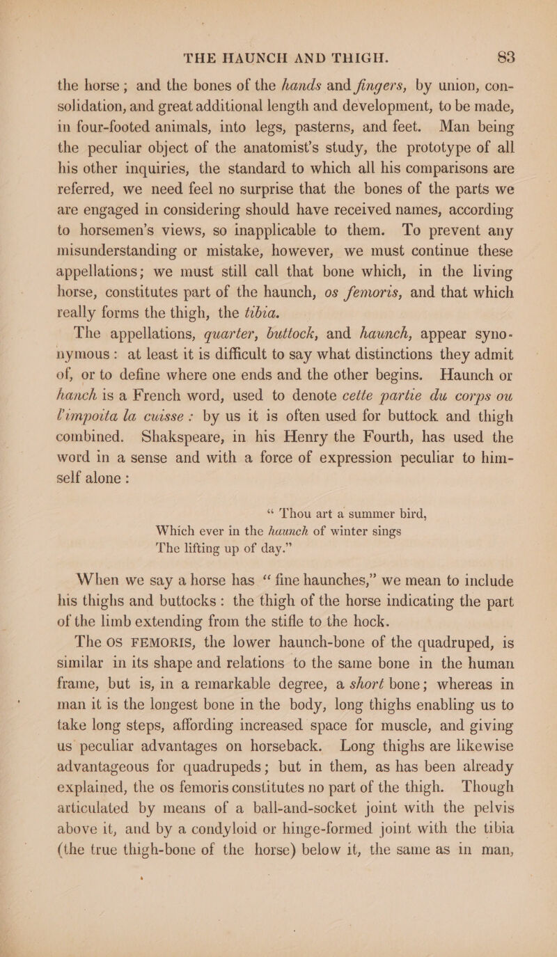 THE HAUNCH AND THIGH. 3 the horse ; and the bones of the hands and fingers, by union, con- solidation, and great additional length and development, to be made, in four-footed animals, into legs, pasterns, and feet. Man being the peculiar object of the anatomist’s study, the prototype of all his other inquiries, the standard to which all his comparisons are referred, we need feel no surprise that the bones of the parts we are engaged in considering should have received names, according to horsemen’s views, so inapplicable to them. To prevent any misunderstanding or mistake, however, we must continue these appellations; we must still call that bone which, in the living horse, constitutes part of the haunch, os femoris, and that which really forms the thigh, the ¢cdza. The appellations, guarter, buttock, and haunch, appear syno- nymous: at least it is difficult to say what distinctions they admit of, or to define where one ends and the other begins. Haunch or hanch is a French word, used to denote celle partie du corps ou Pimporta la cuisse: by us it is often used for buttock and thigh combined. Shakspeare, in his Henry the Fourth, has used the word in a sense and with a force of expression peculiar to him- self alone : “ Thou art a summer bird, Which ever in the haunch of winter sings The lifting up of day.” When we say a horse has “ fine haunches,” we mean to include his thighs and buttocks: the thigh of the horse indicating the part of the limb extending from the stifle to the hock. The OS FEMORIS, the lower haunch-bone of the quadruped, is similar in its shape and relations to the same bone in the human frame, but is, in a remarkable degree, a short bone; whereas in man it is the longest bone in the body, long thighs enabling us to take long steps, affording increased space for muscle, and giving us peculiar advantages on horseback. Long thighs are likewise advantageous for quadrupeds; but in them, as has been already explained, the os femoris constitutes no part of the thigh. Though articulated by means of a ball-and-socket joint with the pelvis above it, and by a condyloid or hinge-formed joint with the tibia (the true thigh-bone of the horse) below it, the same as in man,