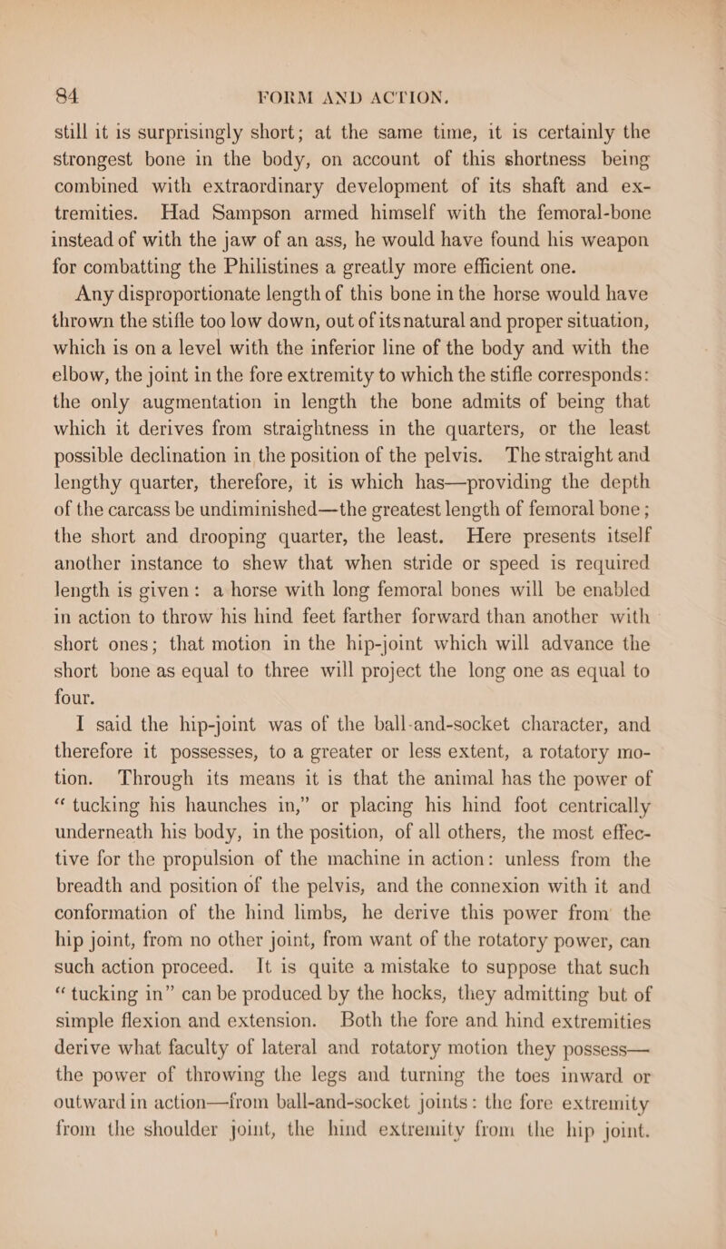 still it is surprisingly short; at the same time, it is certainly the strongest bone in the body, on account of this shortness being combined with extraordinary development of its shaft and ex- tremities. Had Sampson armed himself with the femoral-bone instead of with the jaw of an ass, he would have found his weapon for combatting the Philistines a greatly more efficient one. Any disproportionate length of this bone in the horse would have thrown the stifle too low down, out of itsnatural and proper situation, which is ona level with the inferior line of the body and with the elbow, the joint in the fore extremity to which the stifle corresponds: the only augmentation in length the bone admits of being that which it derives from straightness in the quarters, or the least possible declination in the position of the pelvis. The straight and lengthy quarter, therefore, it is which has—providing the depth of the carcass be undiminished—the greatest length of femoral bone ; the short and drooping quarter, the least. Here presents itself another instance to shew that when stride or speed is required length is given: a horse with long femoral bones will be enabled in action to throw his hind feet farther forward than another with short ones; that motion in the hip-joint which will advance the short bone as equal to three will project the long one as equal to four. I said the hip-joint was of the ball-and-socket character, and therefore it possesses, to a greater or less extent, a rotatory mo- tion. Throvgh its means it is that the animal has the power of “ tucking his haunches in,” or placing his hind foot centrically underneath his body, in the position, of all others, the most effec- tive for the propulsion of the machine in action: unless from the breadth and position of the pelvis, and the connexion with it and conformation of the hind limbs, he derive this power from’ the hip joint, from no other joint, from want of the rotatory power, can such action proceed. It is quite a mistake to suppose that such “tucking in” can be produced by the hocks, they admitting but of simple flexion and extension. Both the fore and hind extremities derive what faculty of lateral and rotatory motion they possess— the power of throwing the legs and turning the toes inward or outward in action—trom ball-and-socket joints: the fore extremity from the shoulder joint, the hind extremity from the hip joint.