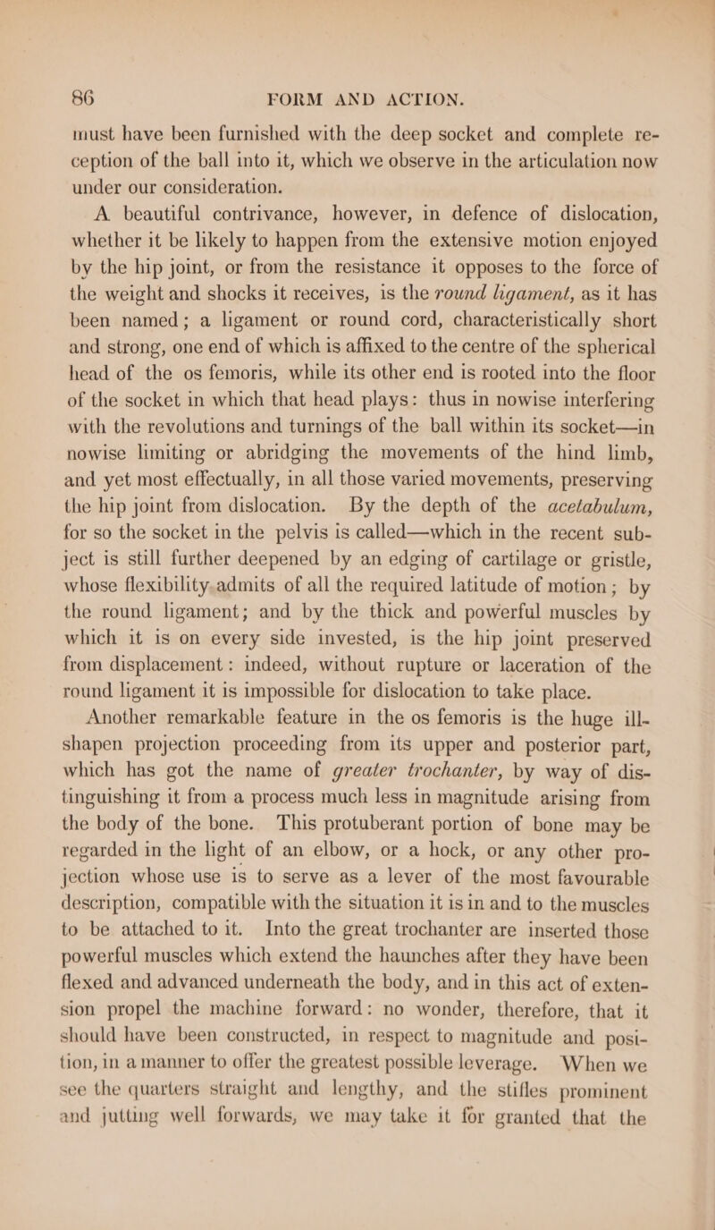 must have been furnished with the deep socket and complete re- ception of the ball into it, which we observe in the articulation now under our consideration. A. beautiful contrivance, however, in defence of dislocation, whether it be likely to happen from the extensive motion enjoyed by the hip joint, or from the resistance it opposes to the force of the weight and shocks it receives, is the round ligament, as it has been named; a ligament or round cord, characteristically short and strong, one end of which is affixed to the centre of the spherical head of the os femoris, while its other end is rooted into the floor of the socket in which that head plays: thus in nowise interfering with the revolutions and turnings of the ball within its socket—in nowise limiting or abridging the movements of the hind limb, and. yet most effectually, in all those varied movements, preserving the hip joint from dislocation. By the depth of the acetabulum, for so the socket in the pelvis is called—which in the recent sub- ject is still further deepened by an edging of cartilage or gristle, whose flexibility.admits of all the required latitude of motion; by the round ligament; and by the thick and powerful muscles by which it is on every side invested, is the hip joint preserved from displacement : indeed, without rupture or laceration of the round ligament it is impossible for dislocation to take place. Another remarkable feature in the os femoris is the huge ill- shapen projection proceeding from its upper and posterior part, which has got the name of greater trochanter, by way of dis- tinguishing it from a process much less in magnitude arising from the body of the bone. This protuberant portion of bone may be regarded in the light of an elbow, or a hock, or any other pro- jection whose use is to serve as a lever of the most favourable description, compatible with the situation it isin and to the muscles to be attached to it. Into the great trochanter are inserted those powerful muscles which extend the haunches after they have been flexed and advanced underneath the body, and in this act of exten- sion propel the machine forward: no wonder, therefore, that it should have been constructed, in respect to magnitude and posi- tion, in amanner to offer the greatest possible leverage. When we see the quarters straight and lengthy, and the stifles prominent and jutting well forwards, we may take it for granted that the