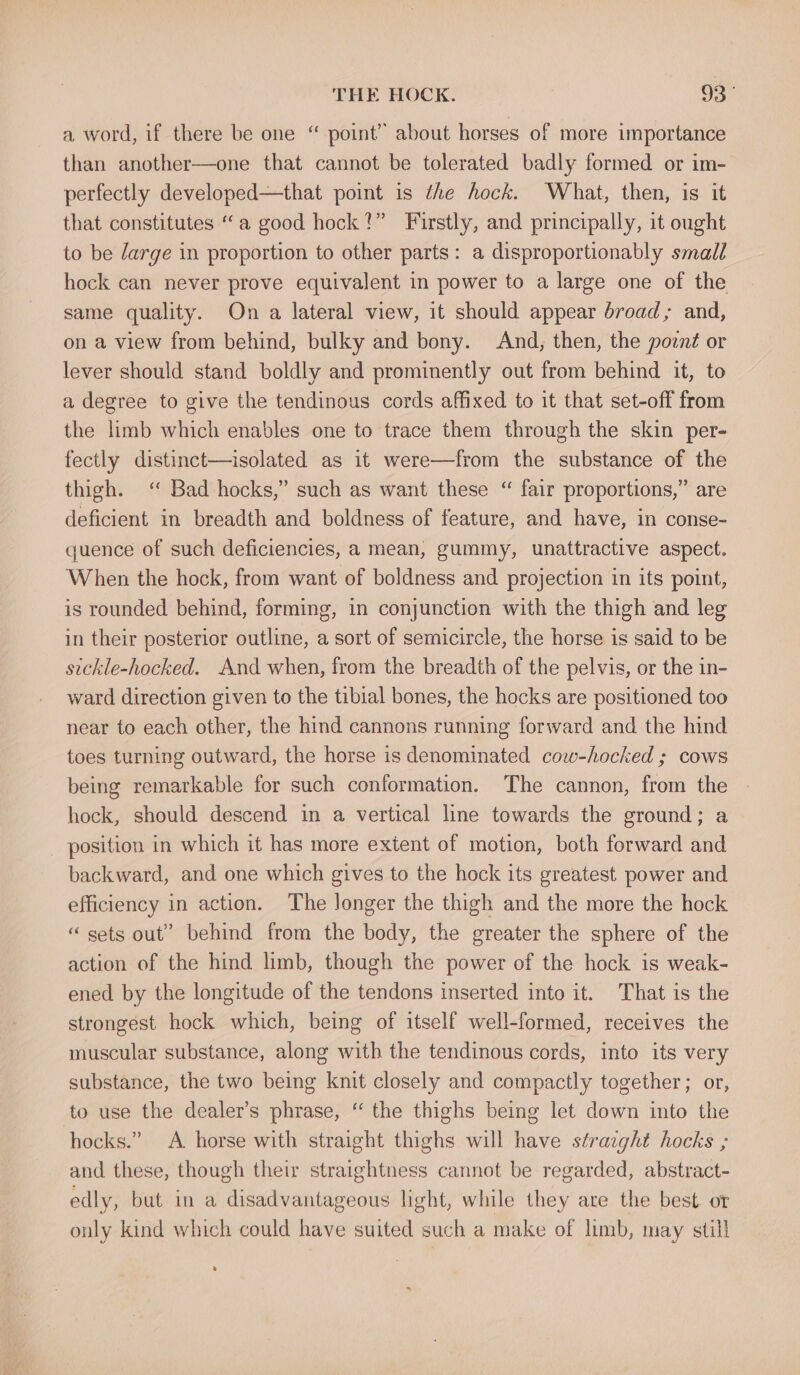 THE HOCK. 93° a word, if there be one “ point” about horses of more importance than another—one that cannot be tolerated badly formed or im- perfectly developed—that point is the hock. What, then, is it that constitutes ‘a good hock?” Firstly, and principally, it ought to be darge in proportion to other parts: a disproportionably small hock can never prove equivalent in power to a large one of the same quality. On a lateral view, it should appear broad, and, on a view from behind, bulky and bony. And, then, the point or lever should stand boldly and prominently out from behind it, to a degree to give the tendinous cords affixed to it that set-off from the limb which enables one to trace them through the skin per- fectly distinct—isolated as it were—from the substance of the thigh. ‘ Bad hocks,” such as want these “ fair proportions,” are deficient in breadth and boldness of feature, and have, in conse- quence of such deficiencies, a mean, gummy, unattractive aspect. When the hock, from want of boldness and projection in its point, is rounded behind, forming, in conjunction with the thigh and leg in their posterior outline, a sort of semicircle, the horse is said to be sickle-hocked. And when, from the breadth of the pelvis, or the in- ward direction given to the tibial bones, the hocks are positioned too near to each other, the hind cannons running forward and the hind toes turning outward, the horse is denominated cow-hocked ; cows being remarkable for such conformation. The cannon, from the hock, should descend in a vertical line towards the ground; a position in which it has more extent of motion, both forward and backward, and one which gives to the hock its greatest power and efficiency in action. The longer the thigh and the more the hock “sets out’ behind from the body, the greater the sphere of the action of the hind limb, though the power of the hock is weak- ened by the longitude of the tendons inserted into it. That is the strongest hock which, being of itself well-formed, receives the muscular substance, along with the tendinous cords, into its very substance, the two being knit closely and compactly together; or, to use the dealer’s phrase, “ the thighs being let down into the hocks.” A horse with straight thighs will have straight hocks ; and these, though their straightness cannot be regarded, abstract- edly, but in a disadvantageous light, while they are the best or only kind which could have suited such a make of limb, may still