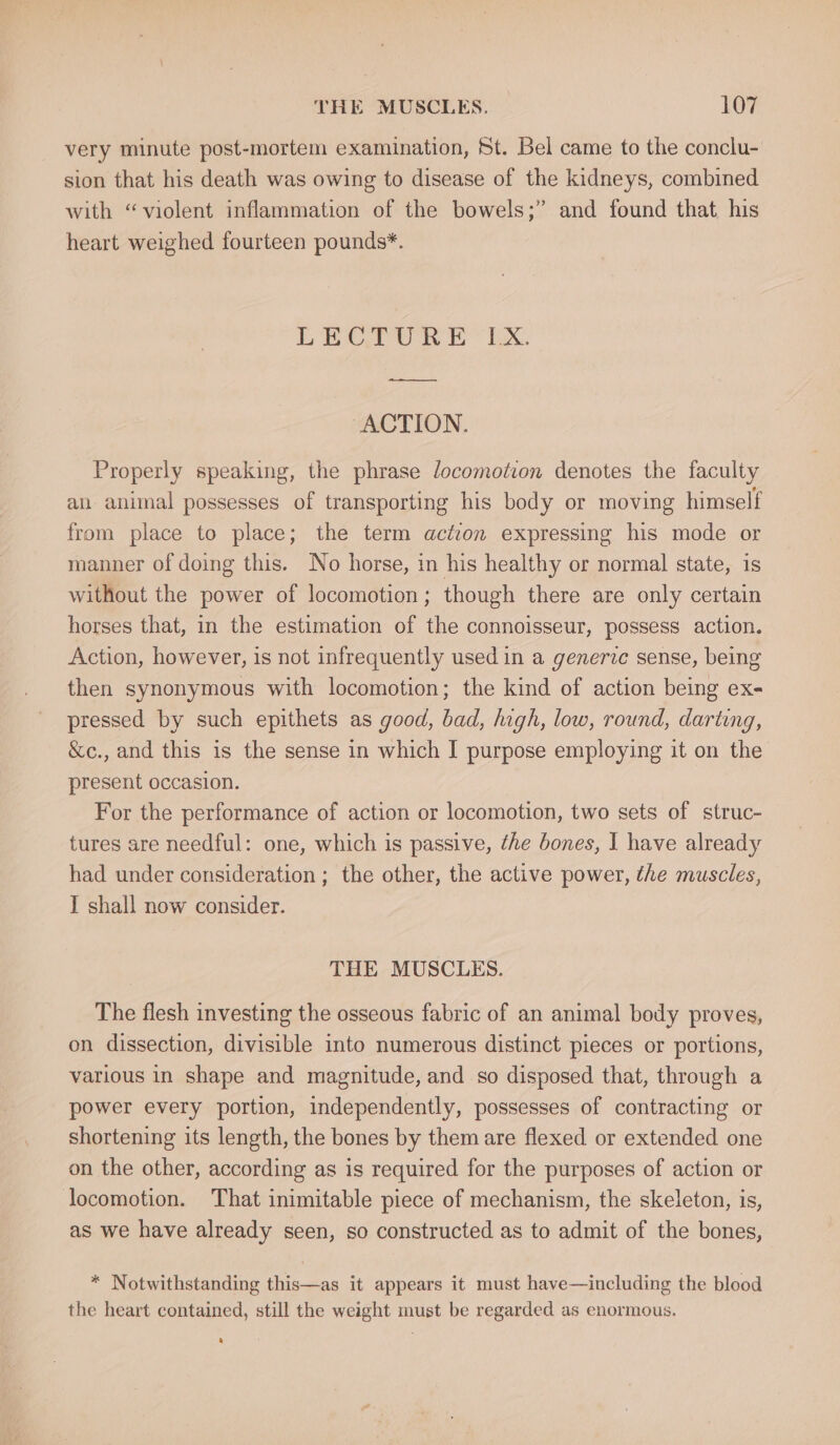 very minute post-mortem examination, St. Bel came to the conclu- sion that his death was owing to disease of the kidneys, combined with “violent inflammation of the bowels;” and found that his heart weighed fourteen pounds*. LECTURE “TX. nd ACTION. Properly speaking, the phrase locomotion denotes the faculty an animal possesses of transporting his body or moving himself from place to place; the term action expressing his mode or manner of doing this. No horse, in his healthy or normal state, is without the power of locomotion; though there are only certain horses that, in the estimation of the connoisseur, possess action. Action, however, is not infrequently used in a generic sense, being then synonymous with locomotion; the kind of action being ex- pressed by such epithets as good, bad, high, low, round, darting, &c., and this is the sense in which I purpose employing it on the present occasion. For the performance of action or locomotion, two sets of struc- tures are needful: one, which is passive, the bones, I have already had under consideration ; the other, the active power, the muscles, I shall now consider. THE MUSCLES. The flesh investing the osseous fabric of an animal body proves, on dissection, divisible into numerous distinct pieces or portions, various in shape and magnitude, and so disposed that, through a power every portion, independently, possesses of contracting or shortening its length, the bones by them are flexed or extended one on the other, according as is required for the purposes of action or locomotion. That inimitable piece of mechanism, the skeleton, is, as we have already seen, so constructed as to admit of the bones, * Notwithstanding this—as it appears it must have—including the blood the heart contained, still the weight must be regarded as enormous.