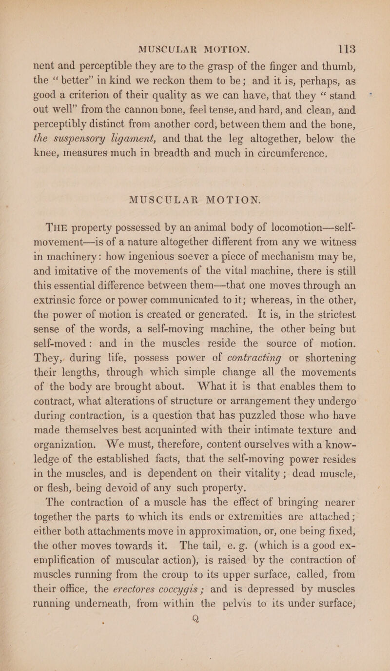 nent and perceptible they are to the grasp of the finger and thumb, the “better” in kind we reckon them to be; and it is, perhaps, as good a criterion of their quality as we can have, that they “ stand out well” from the cannon bone, feel tense, and hard, and clean, and perceptibly distinct from another cord, between them and the bone, the suspensory ligament, and that the leg altogether, below the knee, measures much in breadth and much in circumference, MUSCULAR MOTION. THE property possessed by an animal body of locomotion—self- movement—is of a nature altogether different from any we witness in machinery: how ingenious soever a piece of mechanism may be, and imitative of the movements of the vital machine, there is still this essential difference between them—that one moves through an extrinsic force or power communicated to it; whereas, in the other, the power of motion is created or generated. It is, in the strictest sense of the words, a self-moving machine, the other being but self-moved: and in the muscles reside the source of motion. They, during life, possess power of contracting or shortening their lengths, through which simple change all the movements of the body are brought about. What it is that enables them to contract, what alterations of structure or arrangement they undergo during contraction, is a question that has puzzled those who have made themselves best acquainted with their intimate texture and organization. We must, therefore, content ourselves with a know- ledge of the established facts, that the self-moving power resides in the muscles, and is dependent on their vitality ; dead muscle, or flesh, being devoid of any such property. ‘The contraction of a muscle has the effect of bringing nearer together the parts to which its ends or extremities are attached ; either both attachments move in approximation, or, one being fixed, the other moves towards it. The tail, e. g. (which is a good ex- -emplification of muscular action), is raised by the contraction of muscles running from the croup to its upper surface, called, from their office, the erectores coccygis ; and is depressed by muscles running underneath, from within the pelvis to its under surface,