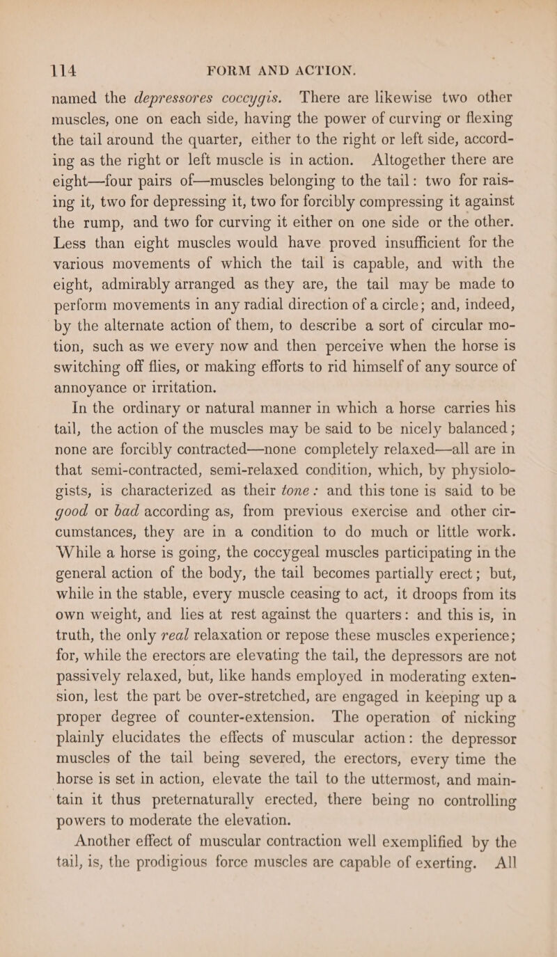 named the depressores coccygis. There are likewise two other muscles, one on each side, having the power of curving or flexing the tail around the quarter, either to the right or left side, accord- ing as the right or left muscle is in action. Altogether there are eight—four pairs of—muscles belonging to the tail: two for rais- ing it, two for depressing it, two for forcibly compressing it against the rump, and two for curving it either on one side or the other. Less than eight muscles would have proved insufficient for the various movements of which the tail is capable, and with the eight, admirably arranged as they are, the tail may be made to perform movements in any radial direction of a circle; and, indeed, by the alternate action of them, to describe a sort of circular mo- tion, such as we every now and then perceive when the horse is switching off flies, or making efforts to rid himself of any source of annoyance or irritation. In the ordinary or natural manner in which a horse carries his tail, the action of the muscles may be said to be nicely balanced ; none are forcibly contracted—none completely relaxed—all are in that semi-contracted, semi-relaxed condition, which, by physiolo- gists, is characterized as their fone: and this tone is said to be good or bad according as, from previous exercise and other cir- cumstances, they are in a condition to do much or little work. While a horse is going, the coccygeal muscles participating in the general action of the body, the tail becomes partially erect ; but, while in the stable, every muscle ceasing to act, it droops from its own weight, and lies at rest against the quarters: and this is, in truth, the only real relaxation or repose these muscles experience; for, while the erectors are elevating the tail, the depressors are not passively relaxed, but, like hands employed in moderating exten- sion, lest the part be over-stretched, are engaged in keeping up a proper degree of counter-extension. The operation of nicking plainly elucidates the effects of muscular action: the depressor muscles of the tail being severed, the erectors, every time the horse is set in action, elevate the tail to the uttermost, and main- tain it thus preternaturally erected, there being no controlling powers to moderate the elevation. Another effect of muscular contraction well exemplified by the tail, is, the prodigious force muscles are capable of exerting. All