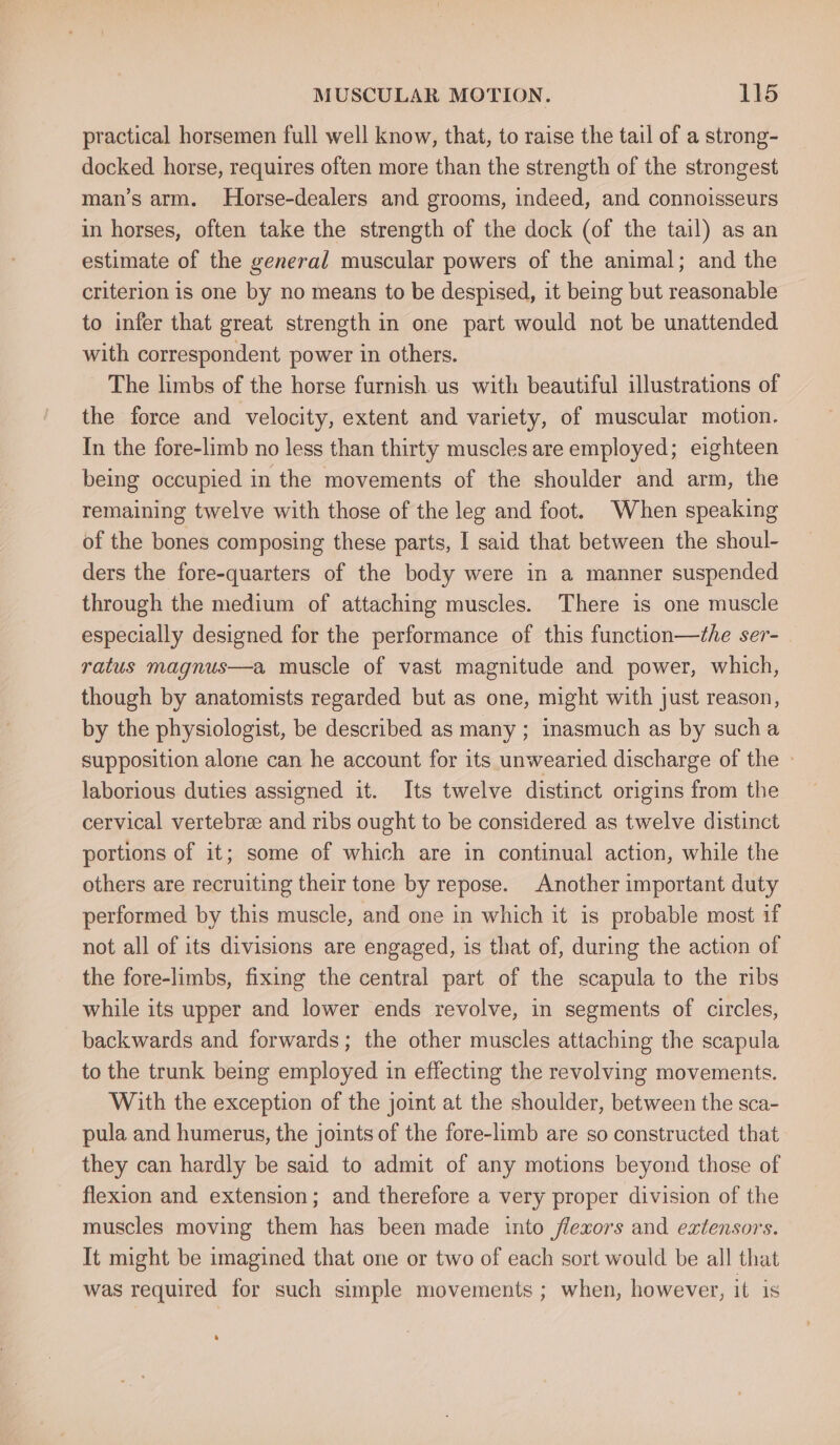 practical horsemen full well know, that, to raise the tail of a strong- docked horse, requires often more than the strength of the strongest man’s arm. Horse-dealers and grooms, indeed, and connoisseurs in horses, often take the strength of the dock (of the tail) as an estimate of the general muscular powers of the animal; and the criterion is one by no means to be despised, it being but reasonable to infer that great strength in one part would not be unattended with correspondent power in others. The limbs of the horse furnish us with beautiful illustrations of the force and velocity, extent and variety, of muscular motion. In the fore-limb no less than thirty muscles are employed; eighteen being occupied in the movements of the shoulder and arm, the remaining twelve with those of the leg and foot. When speaking of the bones composing these parts, I said that between the shoul- ders the fore-quarters of the body were in a manner suspended through the medium of attaching muscles. There is one muscle especially designed for the performance of this function—the ser- ratus magnus—a muscle of vast magnitude and power, which, though by anatomists regarded but as one, might with just reason, by the physiologist, be described as many ; inasmuch as by sucha supposition alone can he account for its unwearied discharge of the » laborious duties assigned it. Its twelve distinct origins from the cervical vertebree and ribs ought to be considered as twelve distinct portions of it; some of which are in continual action, while the others are recruiting their tone by repose. Another important duty performed by this muscle, and one in which it is probable most if not all of its divisions are engaged, is that of, during the action of the fore-limbs, fixing the central part of the scapula to the ribs while its upper and lower ends revolve, in segments of circles, backwards and forwards; the other muscles attaching the scapula to the trunk being employed in effecting the revolving movements. With the exception of the joint at the shoulder, between the sca- pula and humerus, the joints of the fore-limb are so constructed that they can hardly be said to admit of any motions beyond those of flexion and extension; and therefore a very proper division of the muscles moving them has been made into flexors and extensors. It might be imagined that one or two of each sort would be all that was required for such simple movements ; when, however, it is