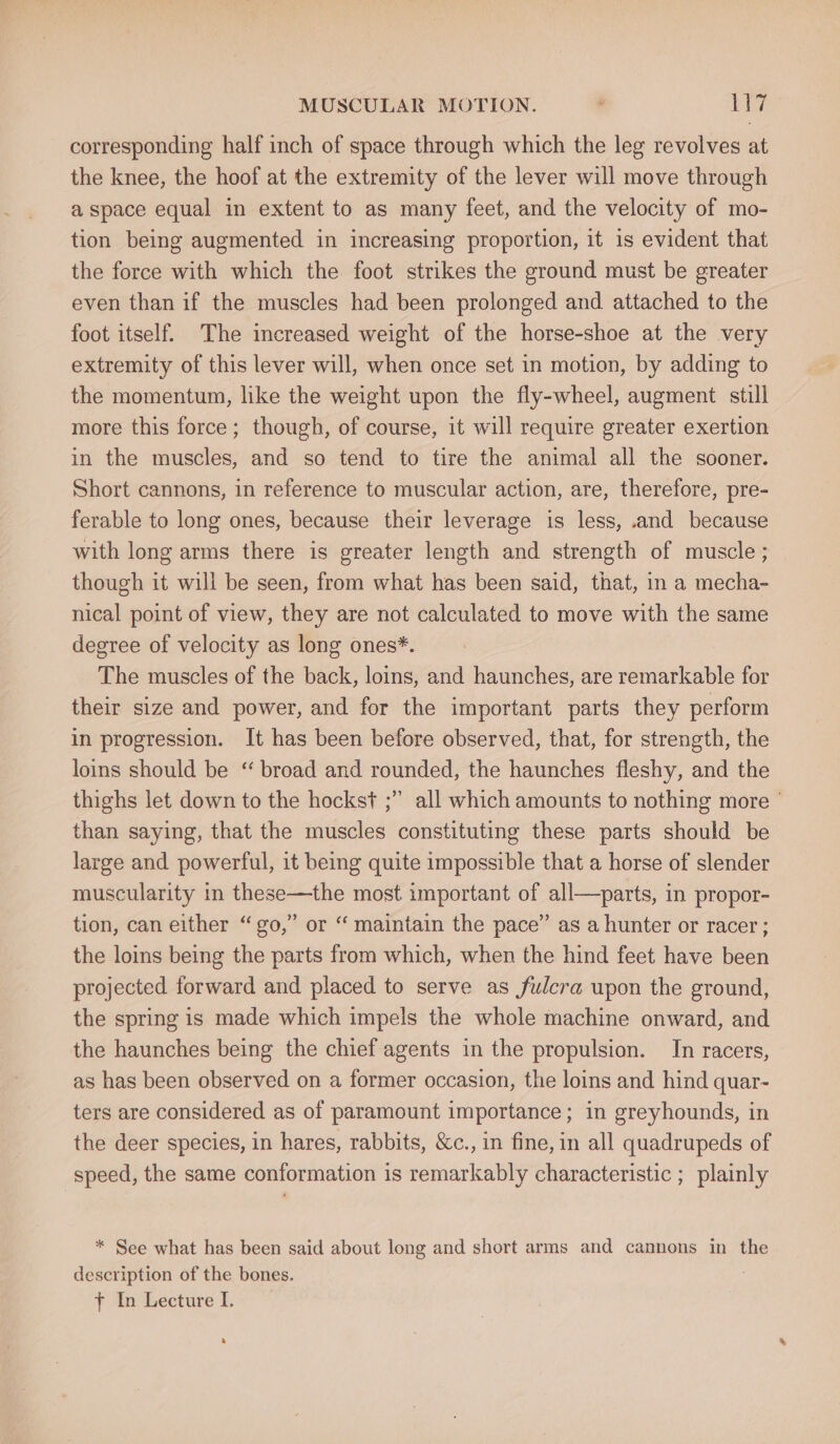 MUSCULAR MOTION. i bs liv corresponding half inch of space through which the leg revolves at the knee, the hoof at the extremity of the lever will move through a space equal in extent to as many feet, and the velocity of mo- tion being augmented in increasing proportion, it is evident that the force with which the foot strikes the ground must be greater even than if the muscles had been prolonged and attached to the foot itself. The increased weight of the horse-shoe at the very extremity of this lever will, when once set in motion, by adding to the momentum, like the weight upon the fly-wheel, augment still more this force; though, of course, it will require greater exertion in the muscles, and so tend to tire the animal all the sooner. Short cannons, in reference to muscular action, are, therefore, pre- ferable to long ones, because their leverage is less, and because with long arms there is greater length and strength of muscle ; though it will be seen, from what has been said, that, in a mecha- nical point of view, they are not calculated to move with the same degree of velocity as long ones*. The muscles of the back, loins, and haunches, are remarkable for their size and power, and for the important parts they perform in progression. It has been before observed, that, for strength, the loins should be ‘ broad and rounded, the haunches fleshy, and the thighs let down to the hockst ;” all which amounts to nothing more © than saying, that the muscles constituting these parts should be large and powerful, it being quite impossible that a horse of slender muscularity in these—the most important of all—parts, in propor- tion, can either “go,” or “ maintain the pace” as a hunter or racer; the loins being the parts from which, when the hind feet have been projected forward and placed to serve as fulcra upon the ground, the spring is made which impels the whole machine onward, and the haunches being the chief agents in the propulsion. In racers, as has been observed on a former occasion, the loins and hind quar- ters are considered as of paramount importance; in greyhounds, in the deer species, in hares, rabbits, &amp;c., in fine, in all quadrupeds of speed, the same conformation is remarkably characteristic ; plainly * See what has been said about long and short arms and cannons in the description of the bones. ft In Lecture I.