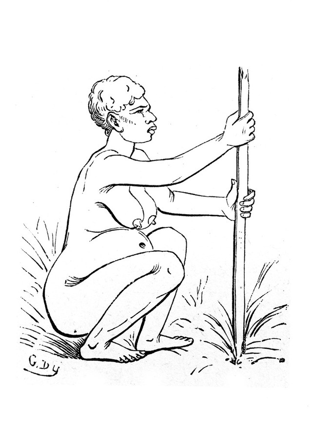 No text description is available for this image