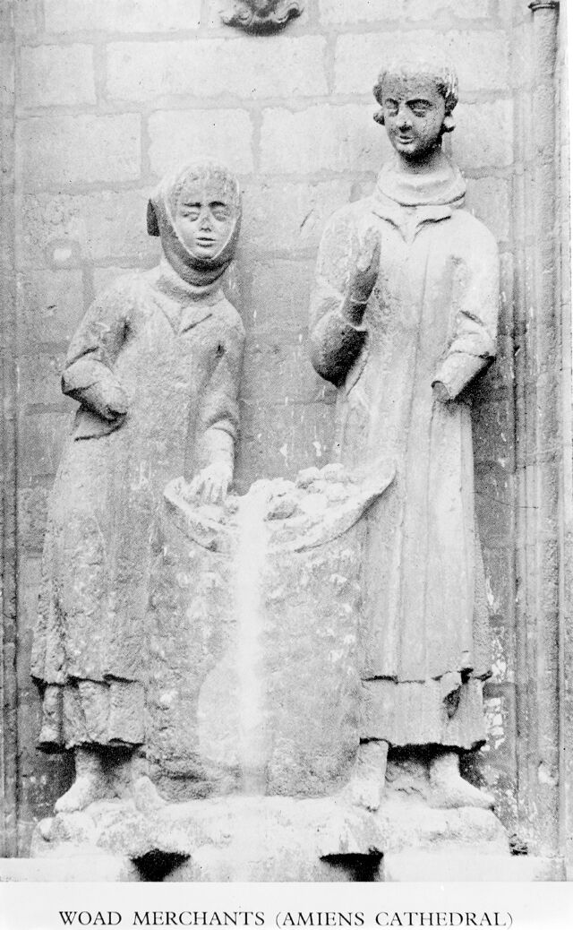 No text description is available for this image