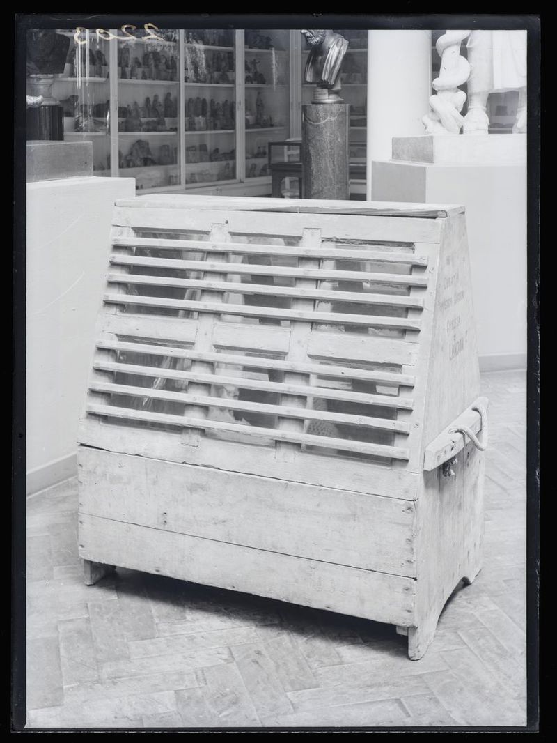 No text description is available for this image