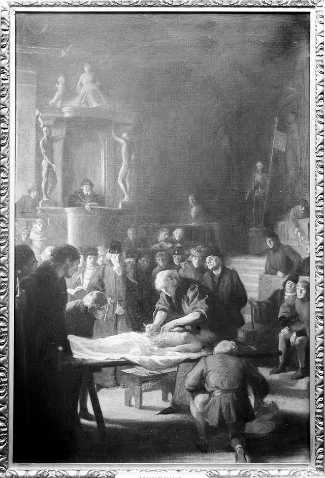 No text description is available for this image