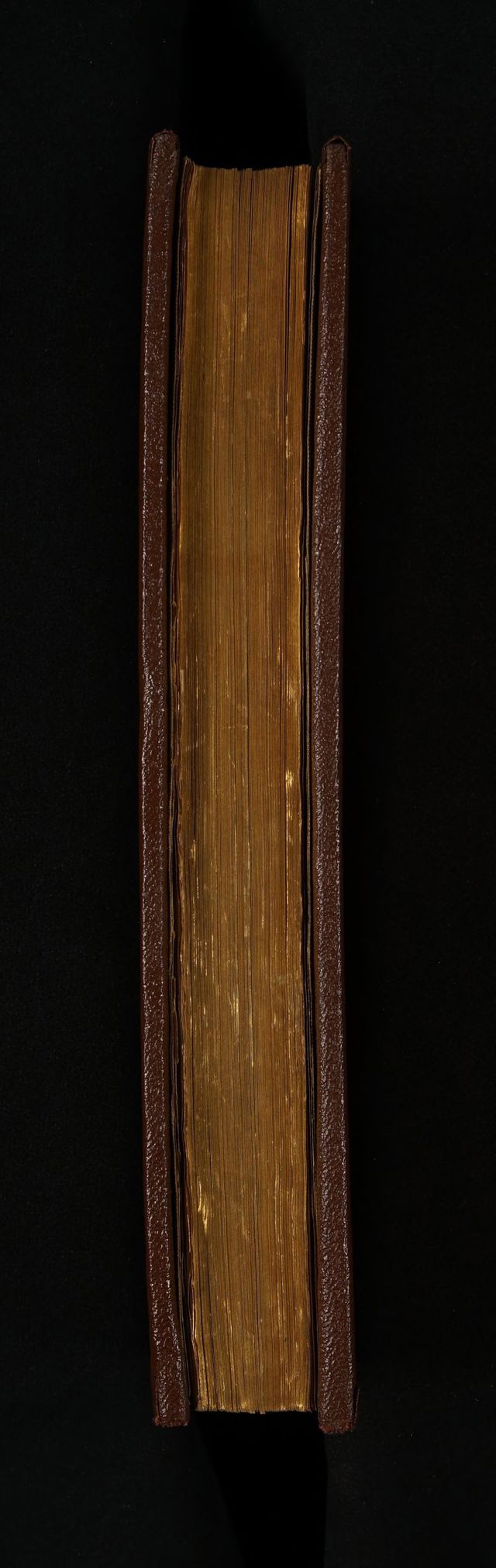 digitised image 3