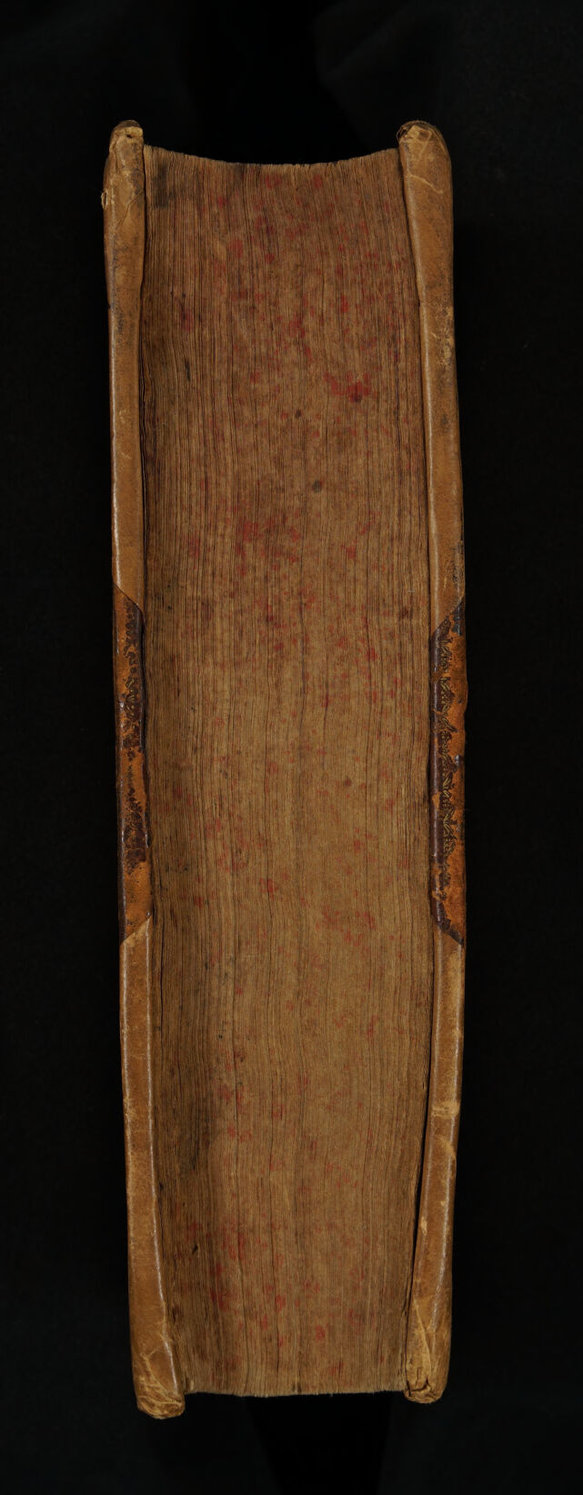 digitised image 3